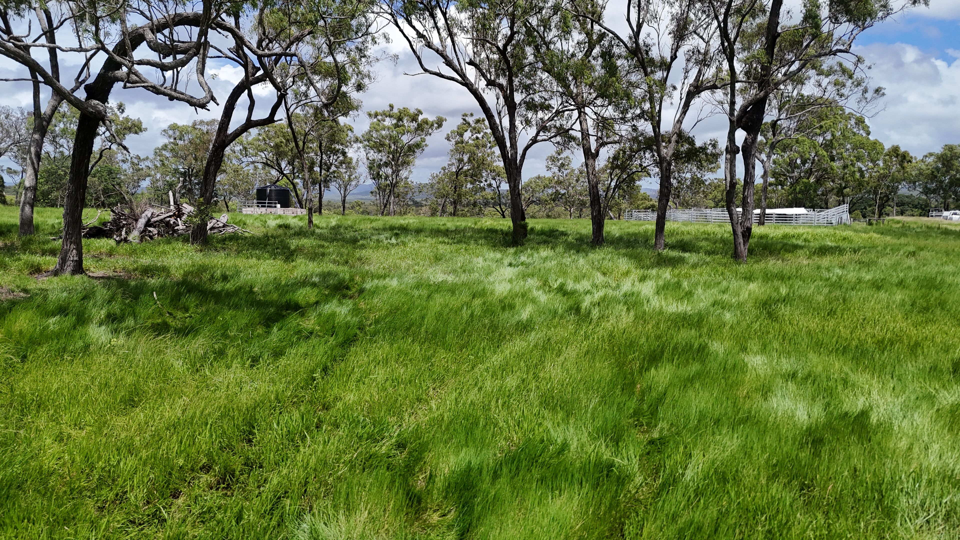Lot 3 Marion Settlement Road, Ilbilbie, QLD 4738