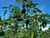 565 Kerikeri Road photo 11