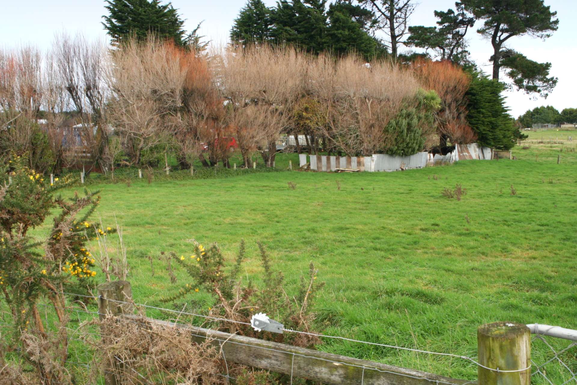 213 Bain Street, Clifton, Invercargill Real Estate Ray White New