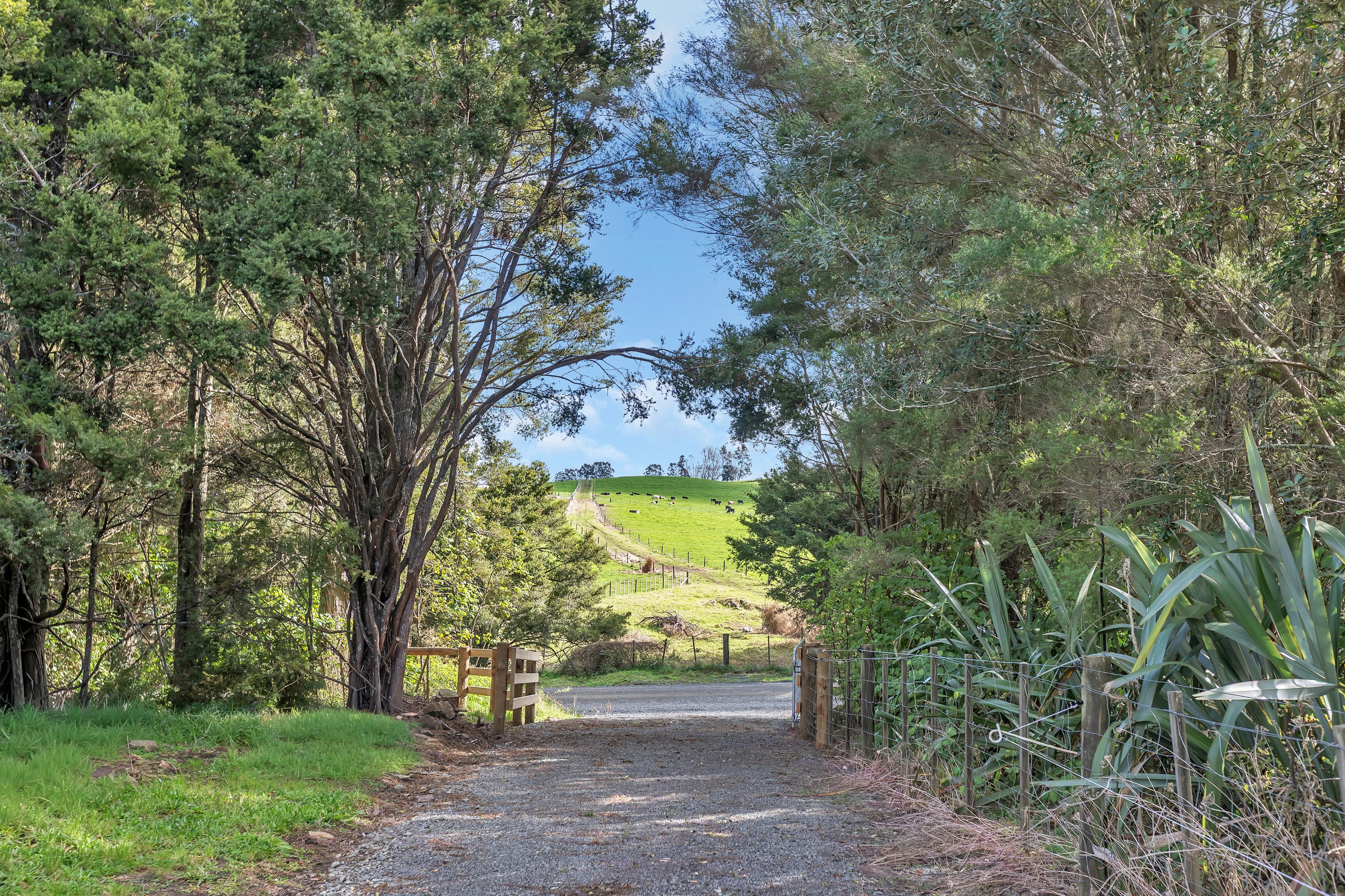 0 Carruth Road, Poroti, Whangarei District
