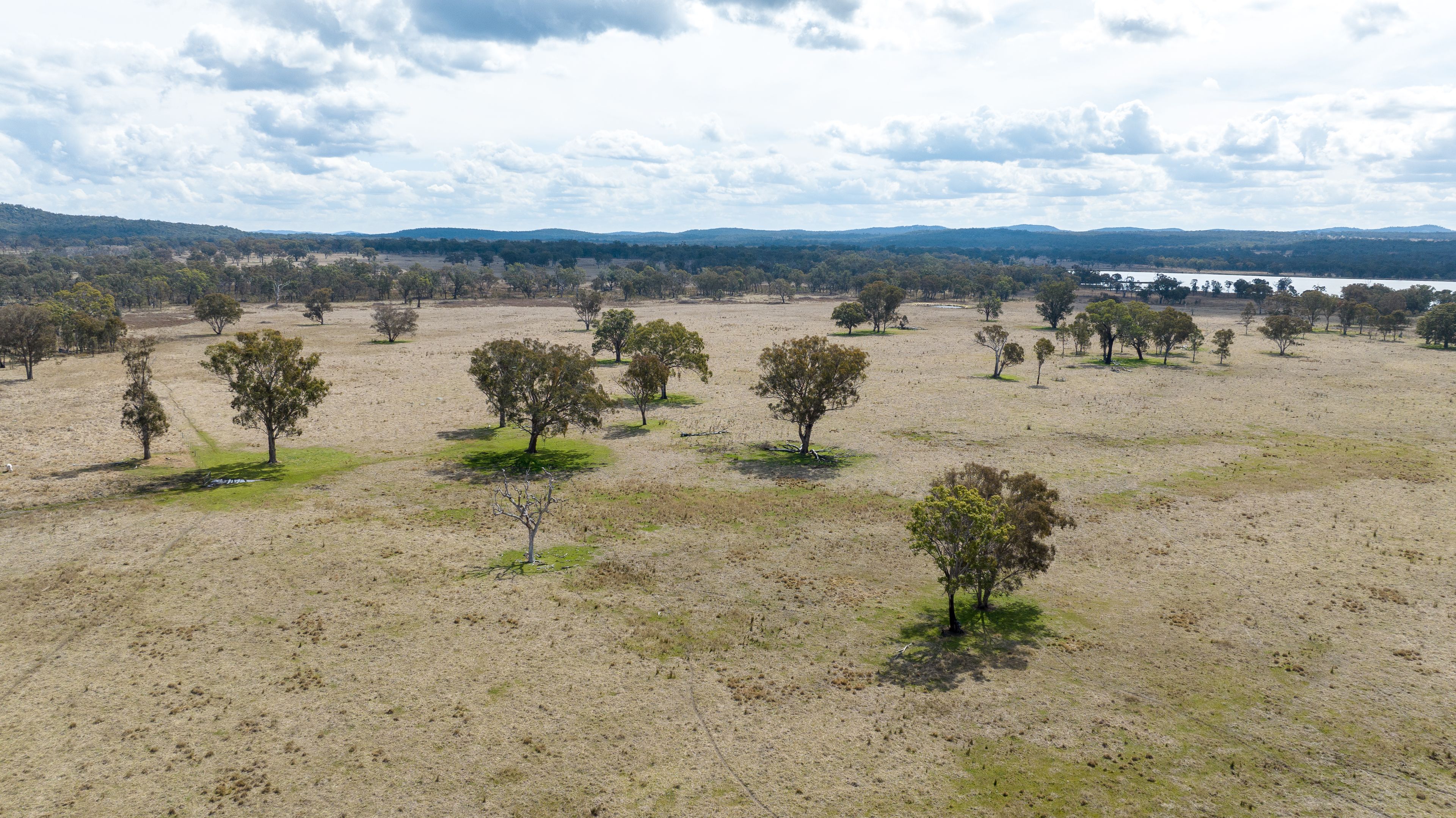 "Koorani & Glen Hazel Aggregation" Glen Hazel Road, Bundarra, NSW