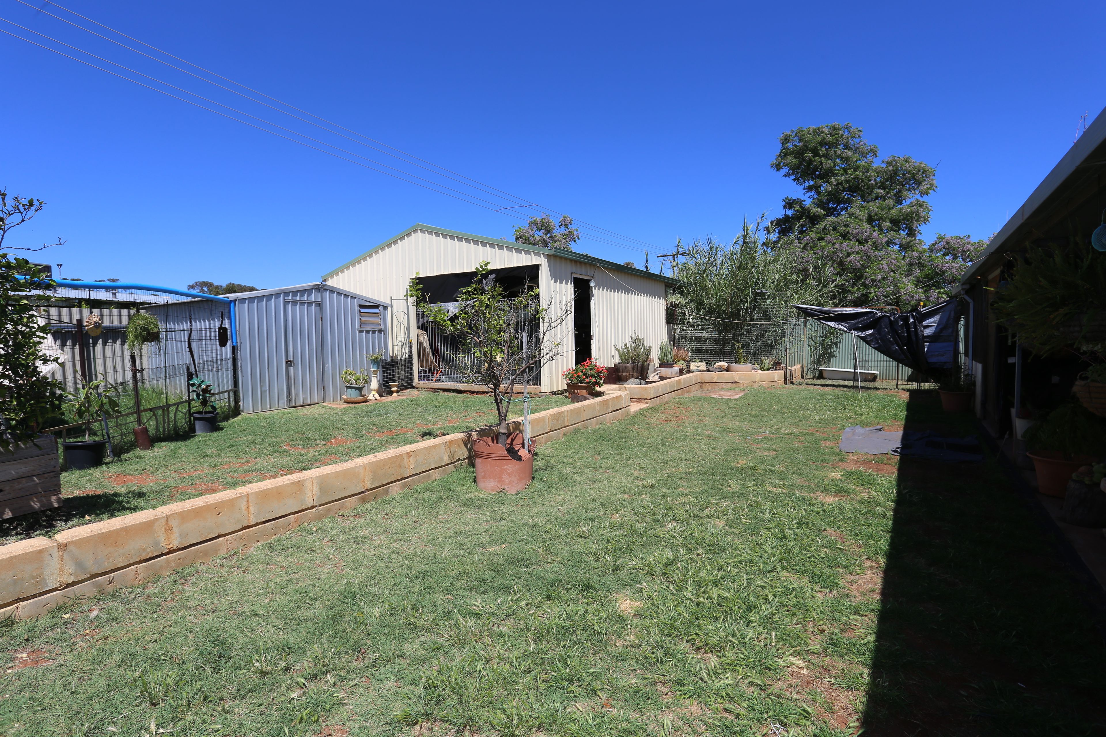 31 Hakea Street — photo 13 of 14