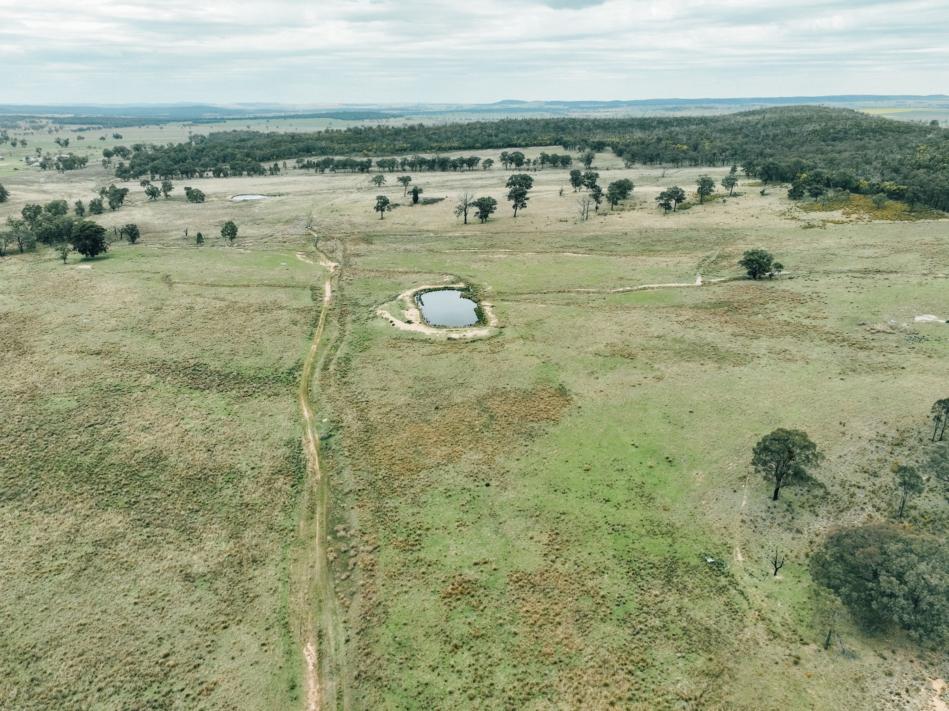 13999 Golden Highway , Dunedoo NSW 2844