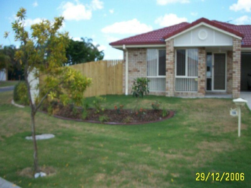 14 Muscari Crescent, Drewvale, QLD 4116