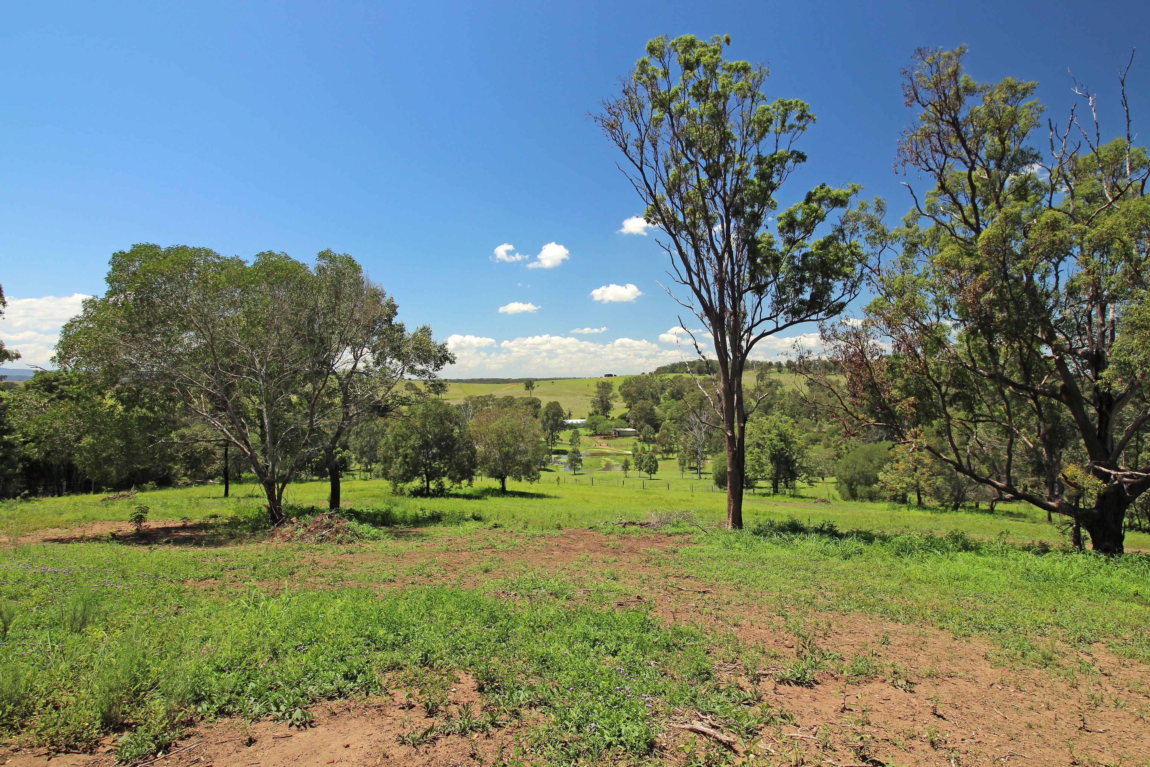 3 Bachmann Road, HAIGSLEA, QLD 4306