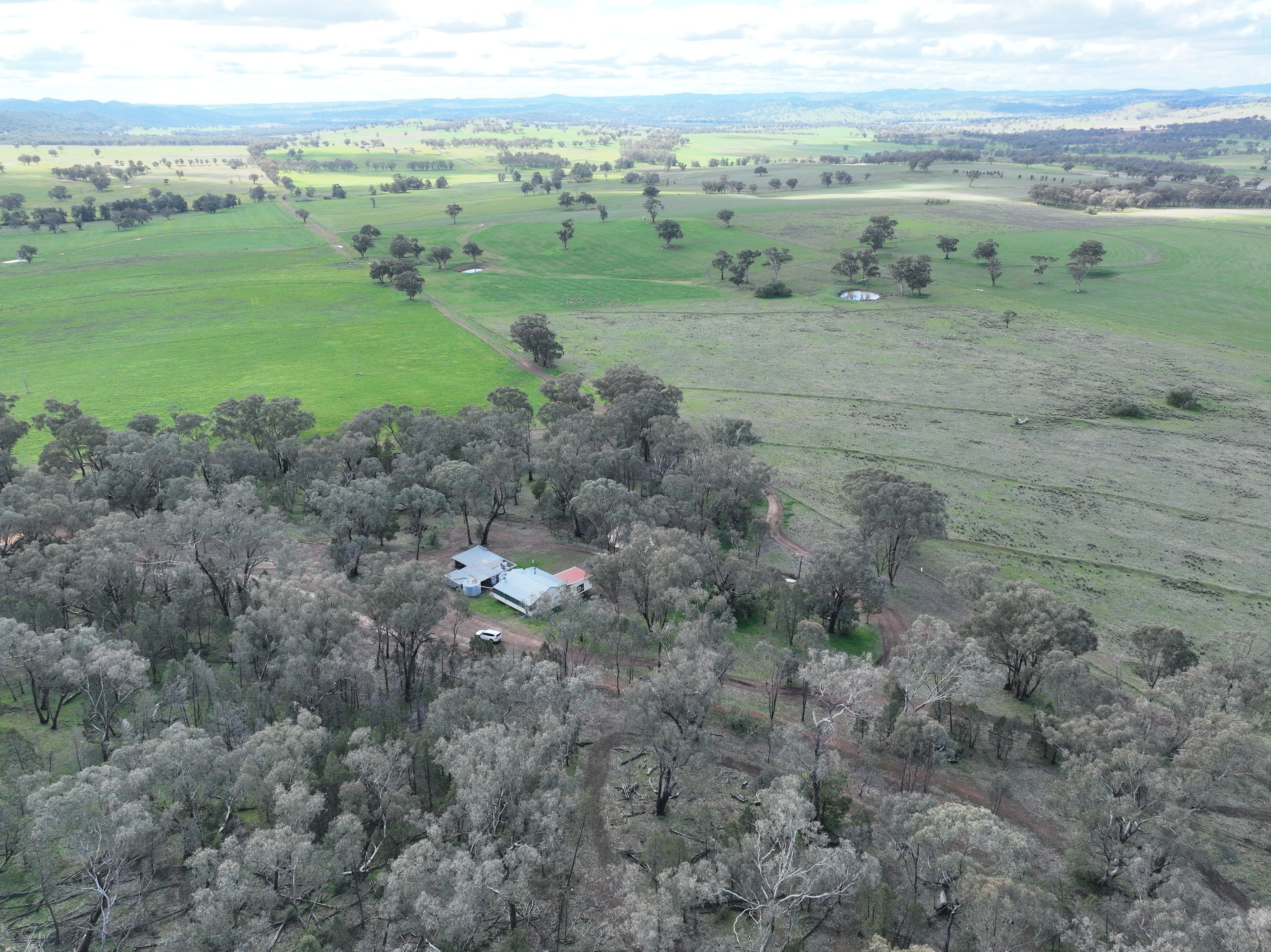 'Fox Hill' 573 Blathery Creek Road — photo 8 of 18