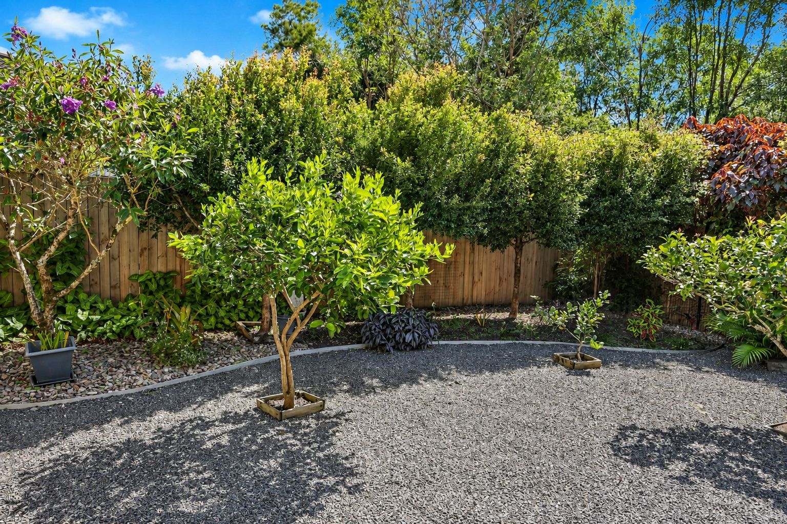 Easy Eumundi Lifestyle Living! — photo 8 of 11