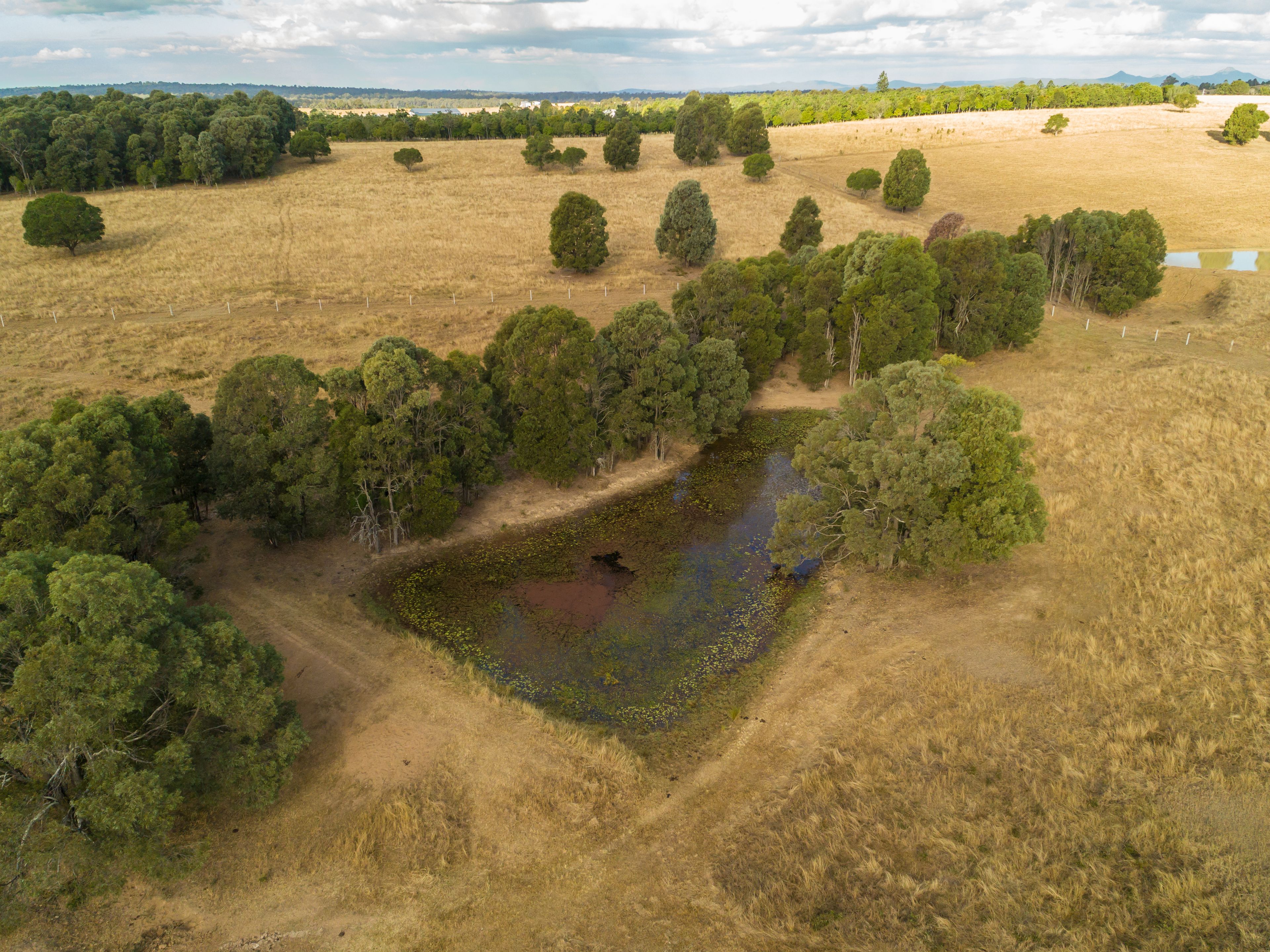 59 Linnings Road, Haigslea, QLD 4306