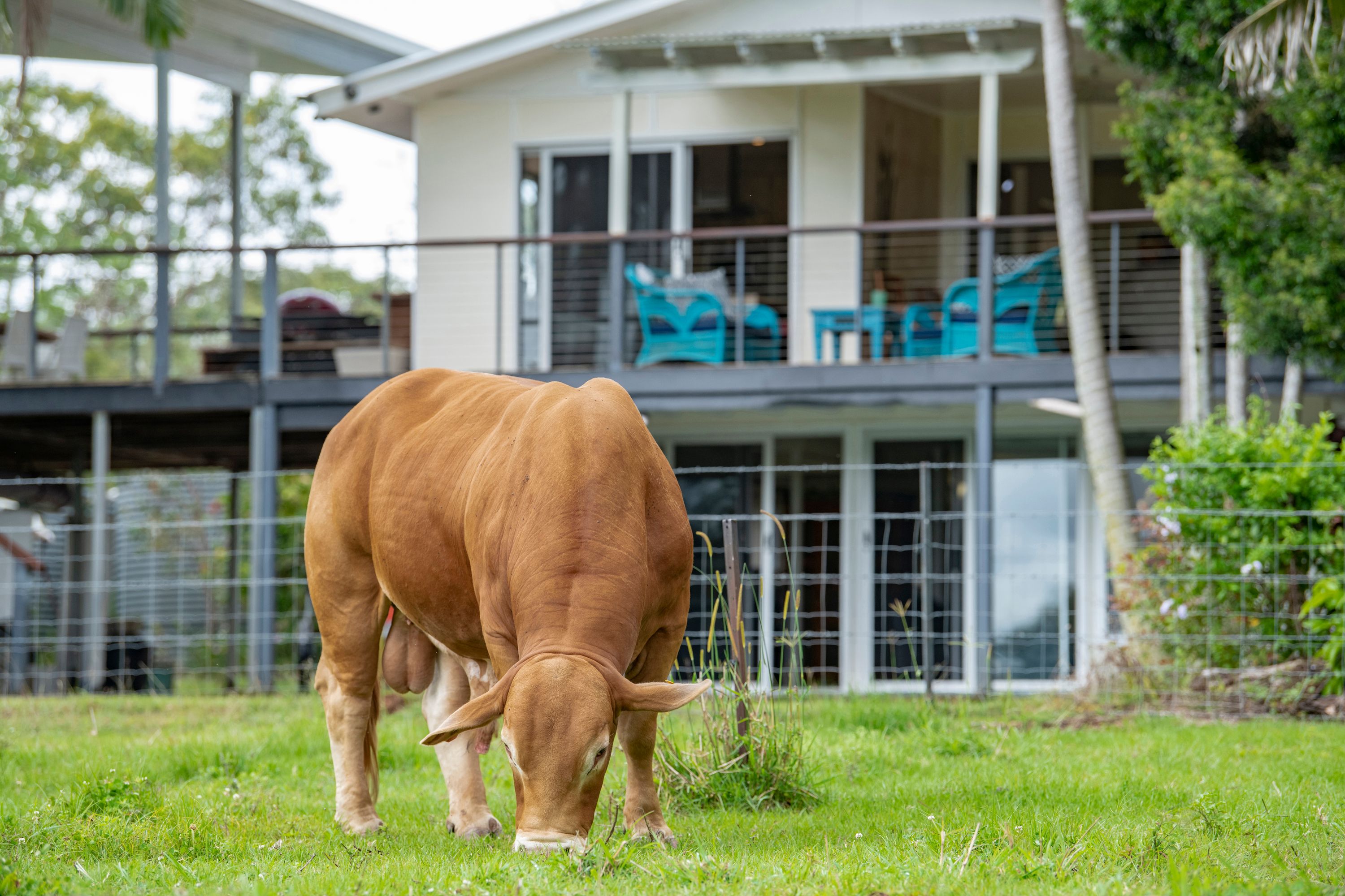 722 Noosa Road, Mothar Mountain QLD 4570