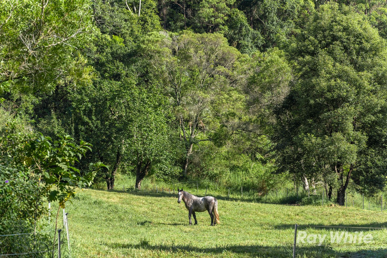 65 Porters Road, Upper Crystal Creek, NSW 2484