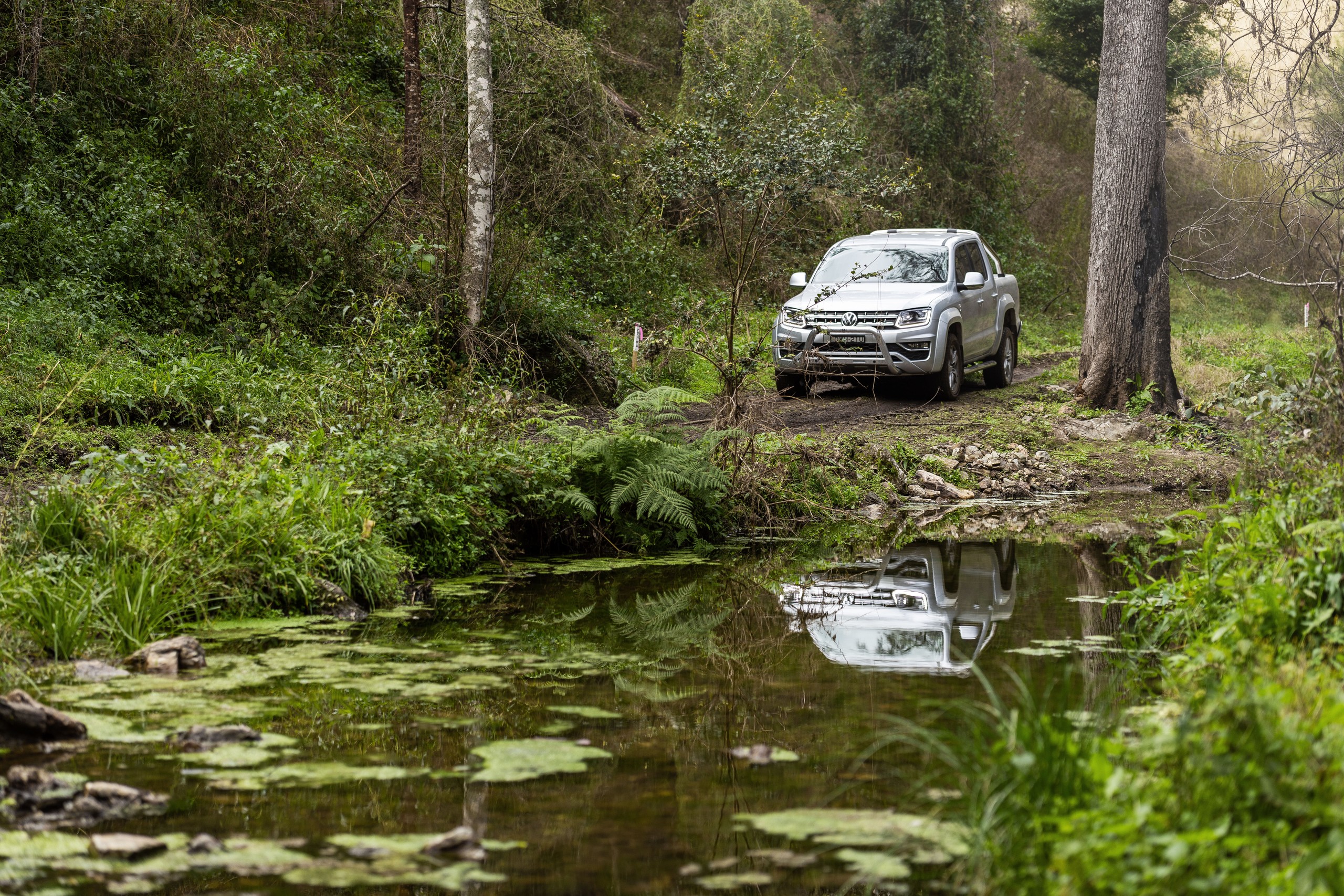 McPhersons Country Estates, Enfield Range Road, Cells River, NSW 2424