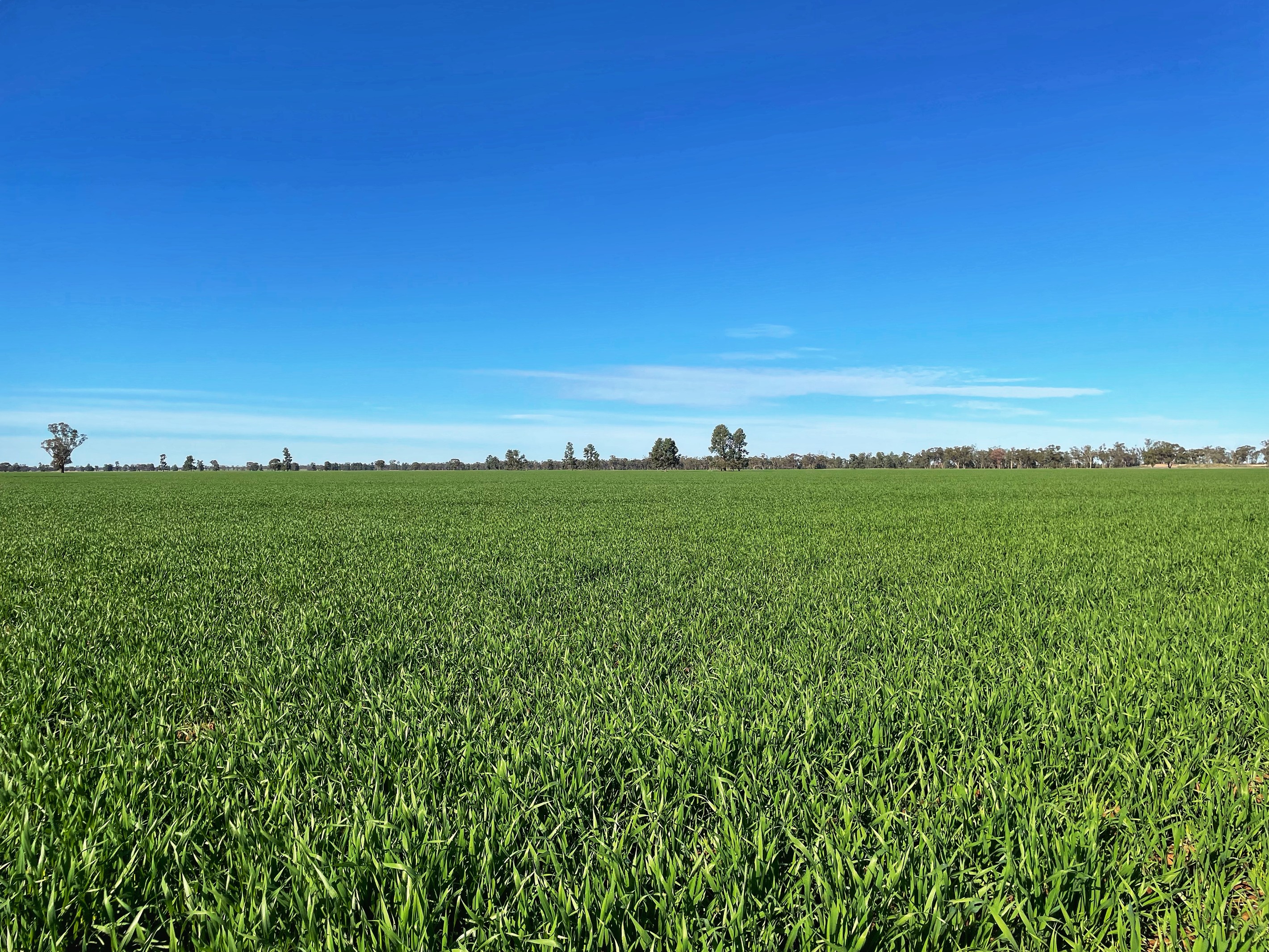 Tullinga 3276 Palesthan Road, Condobolin, NSW 2877