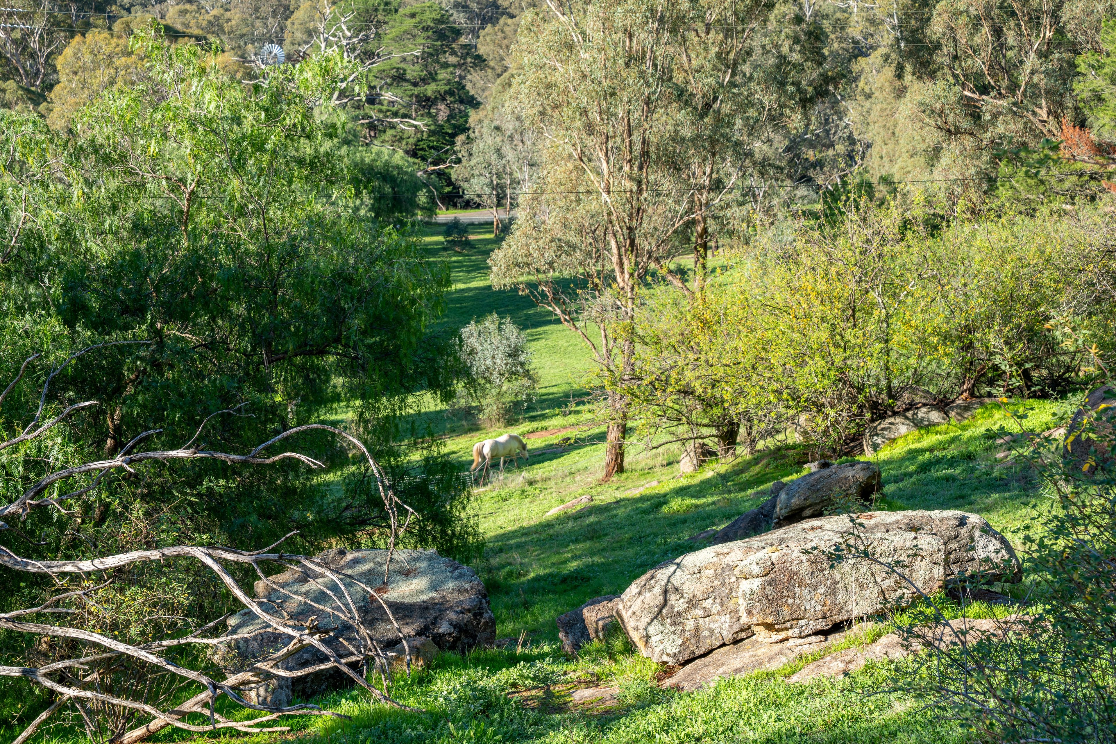 8389 Goulburn Valley Highway — photo 9 of 22