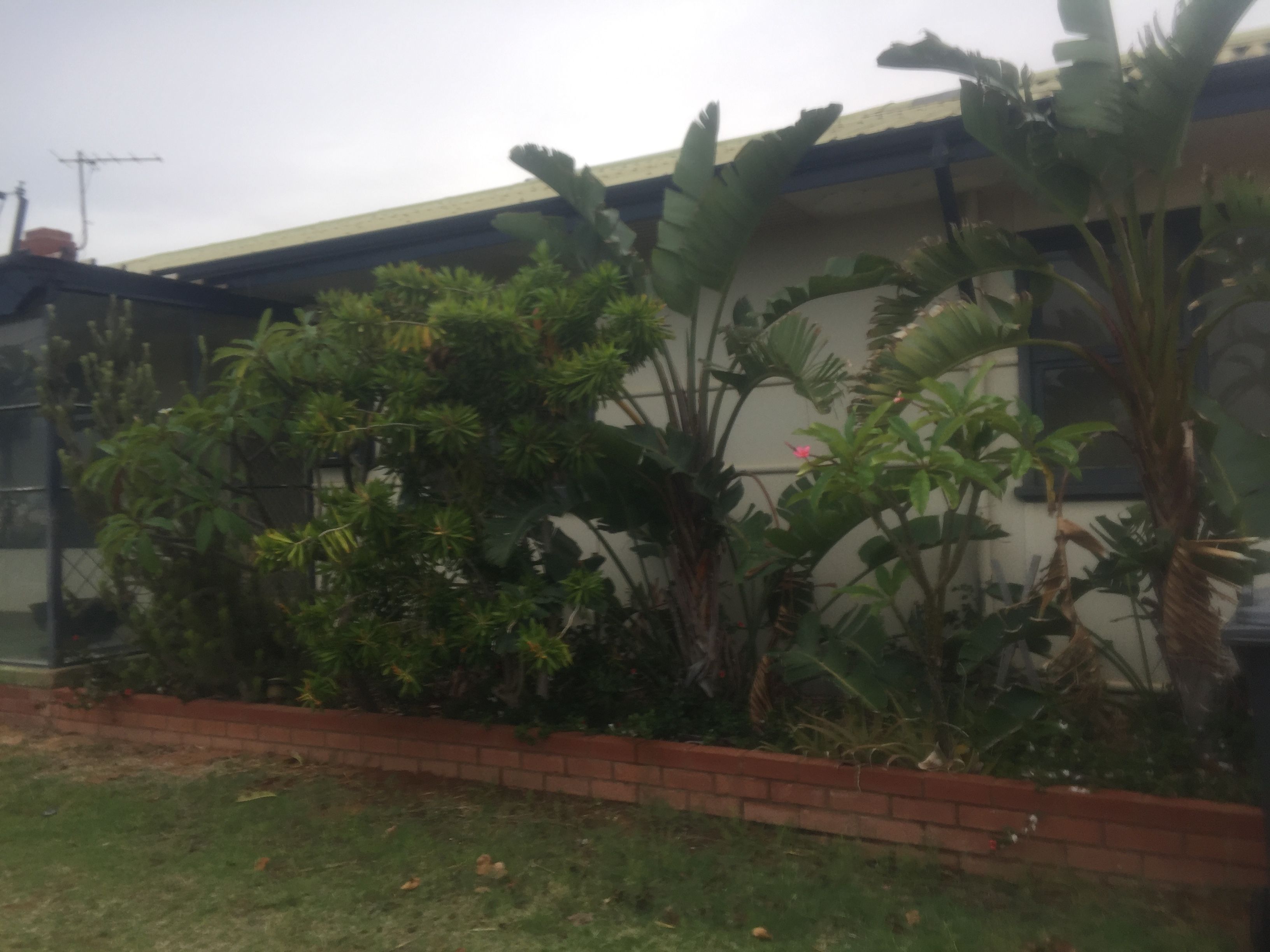 9 Hammond Street, Carnarvon, WA 6701