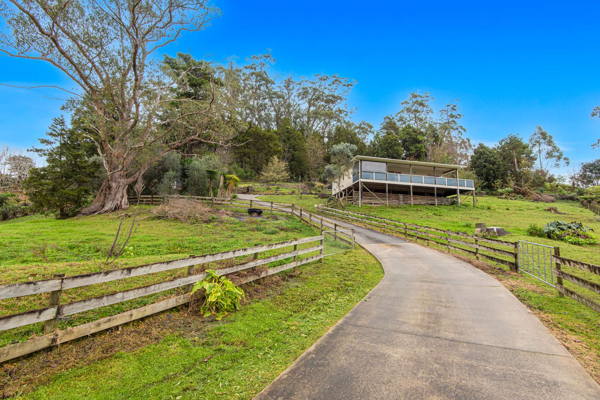 286A Whau Valley Road photo 0