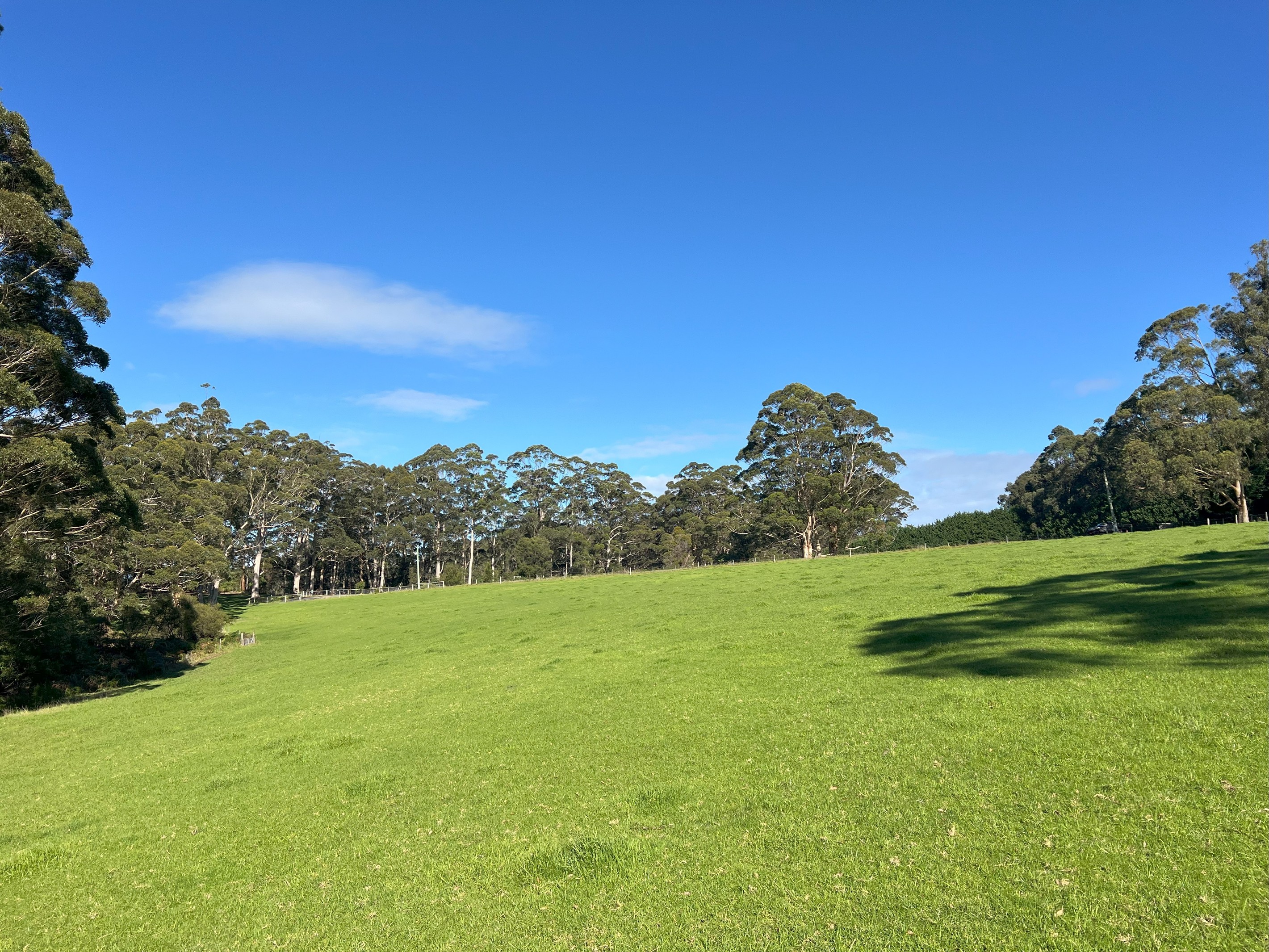 47 Pittam Way, Shadforth, WA 6333