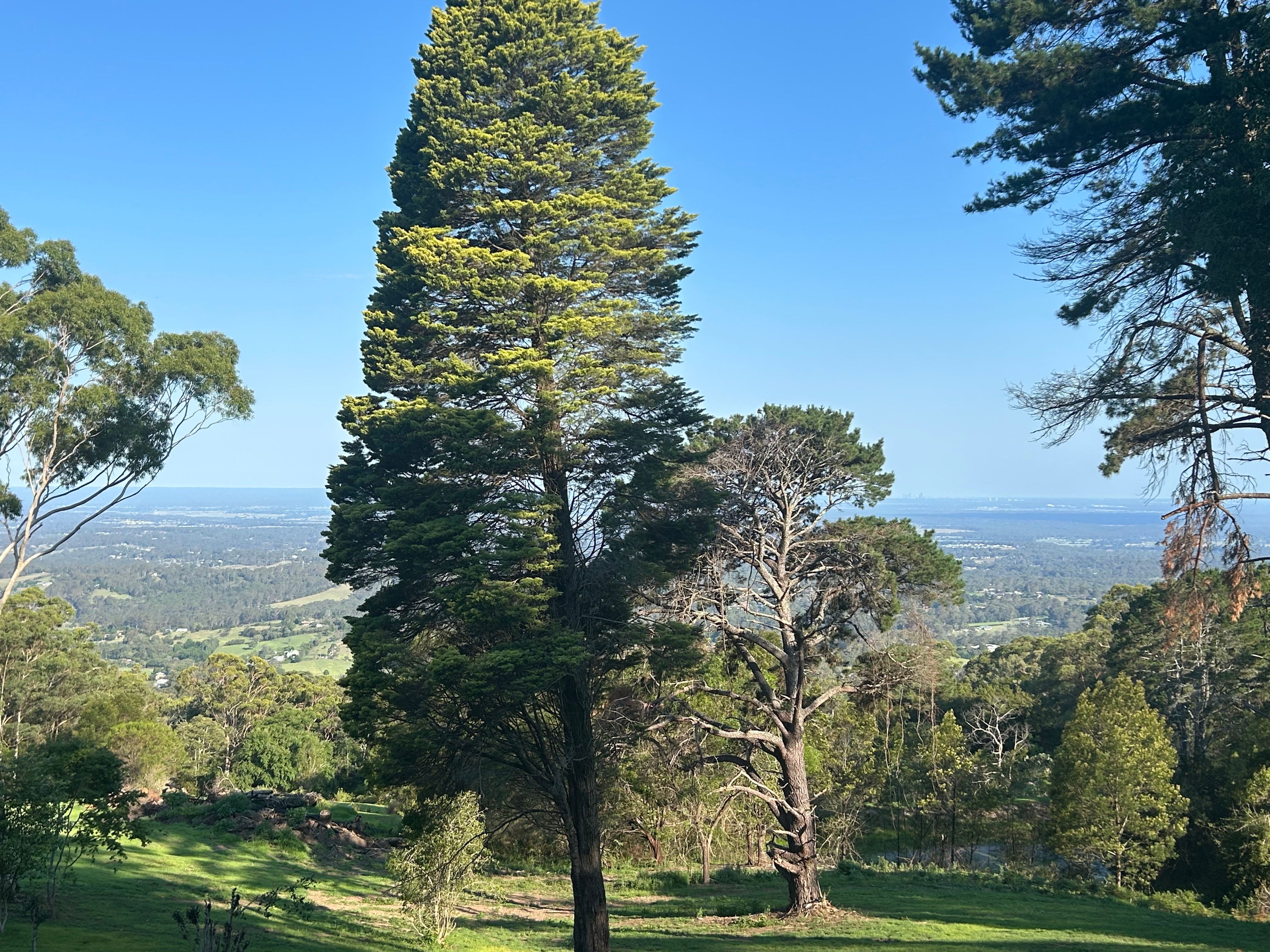 1194C Bells Line Of Road, Kurrajong Heights NSW 2758