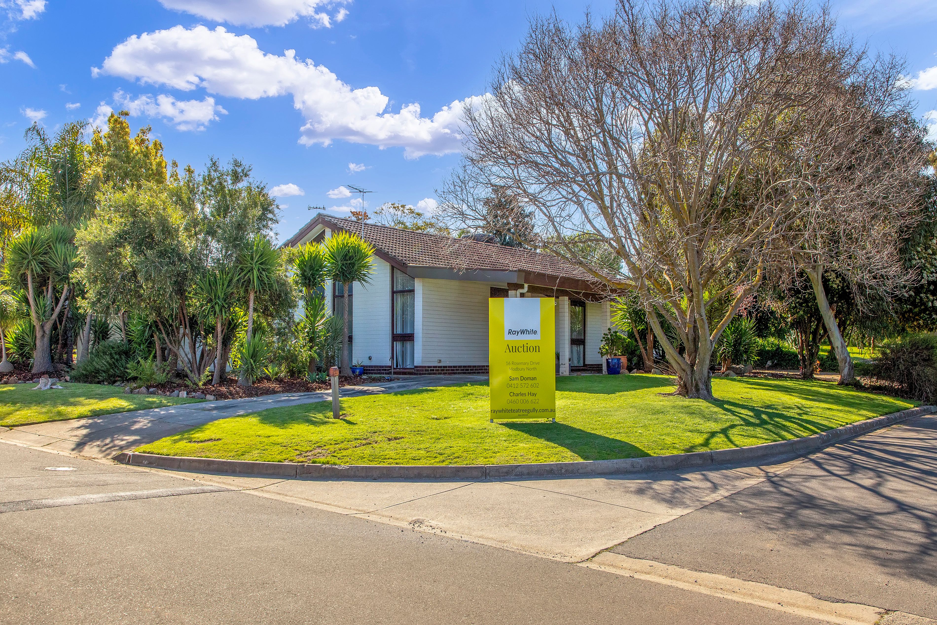 16 Rosemary Drive, Modbury North, SA 5092 Sold House Ray White Tea