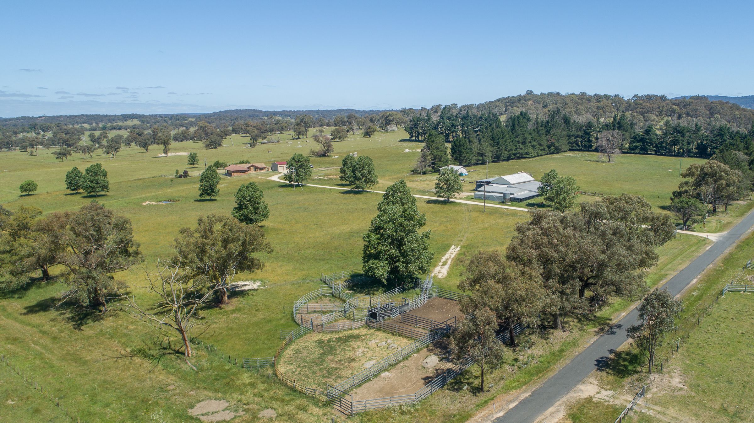 286 Mount Mitchell Road, Guyra NSW 2365