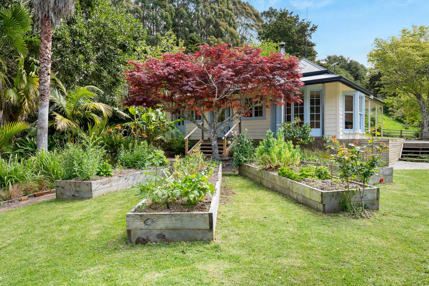 144 Waipoka Road photo 5