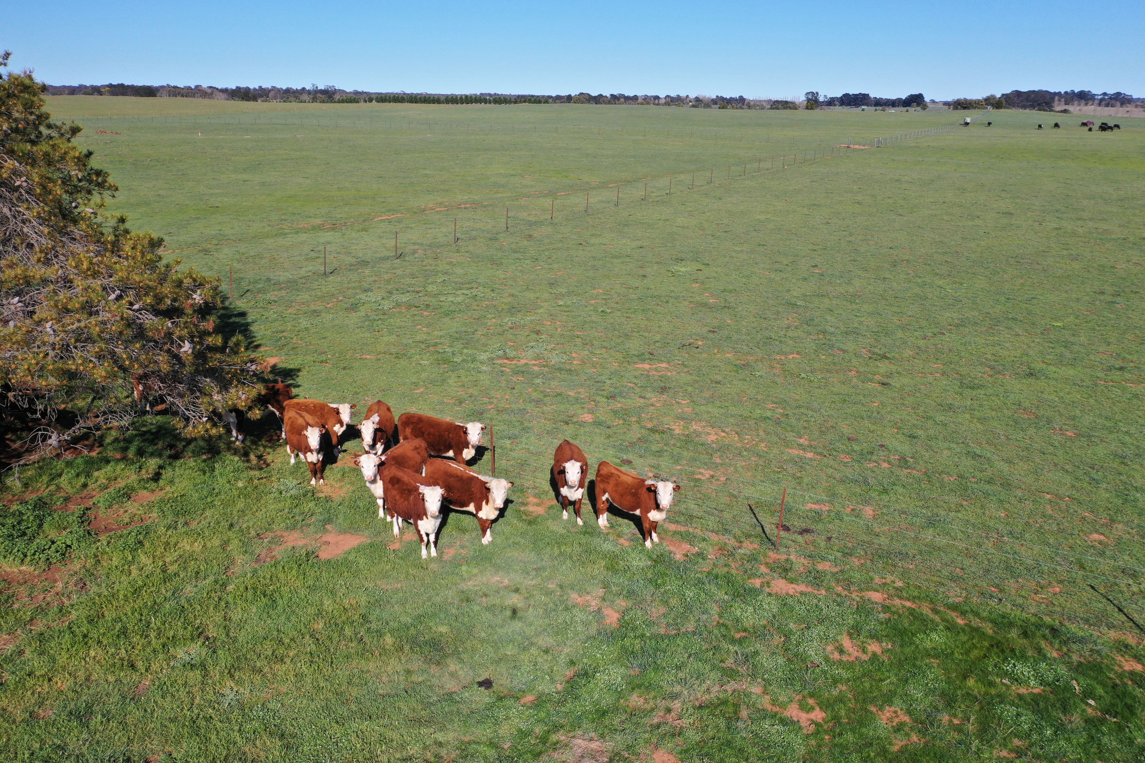 152 Bannaby Road, Taralga, NSW 2580