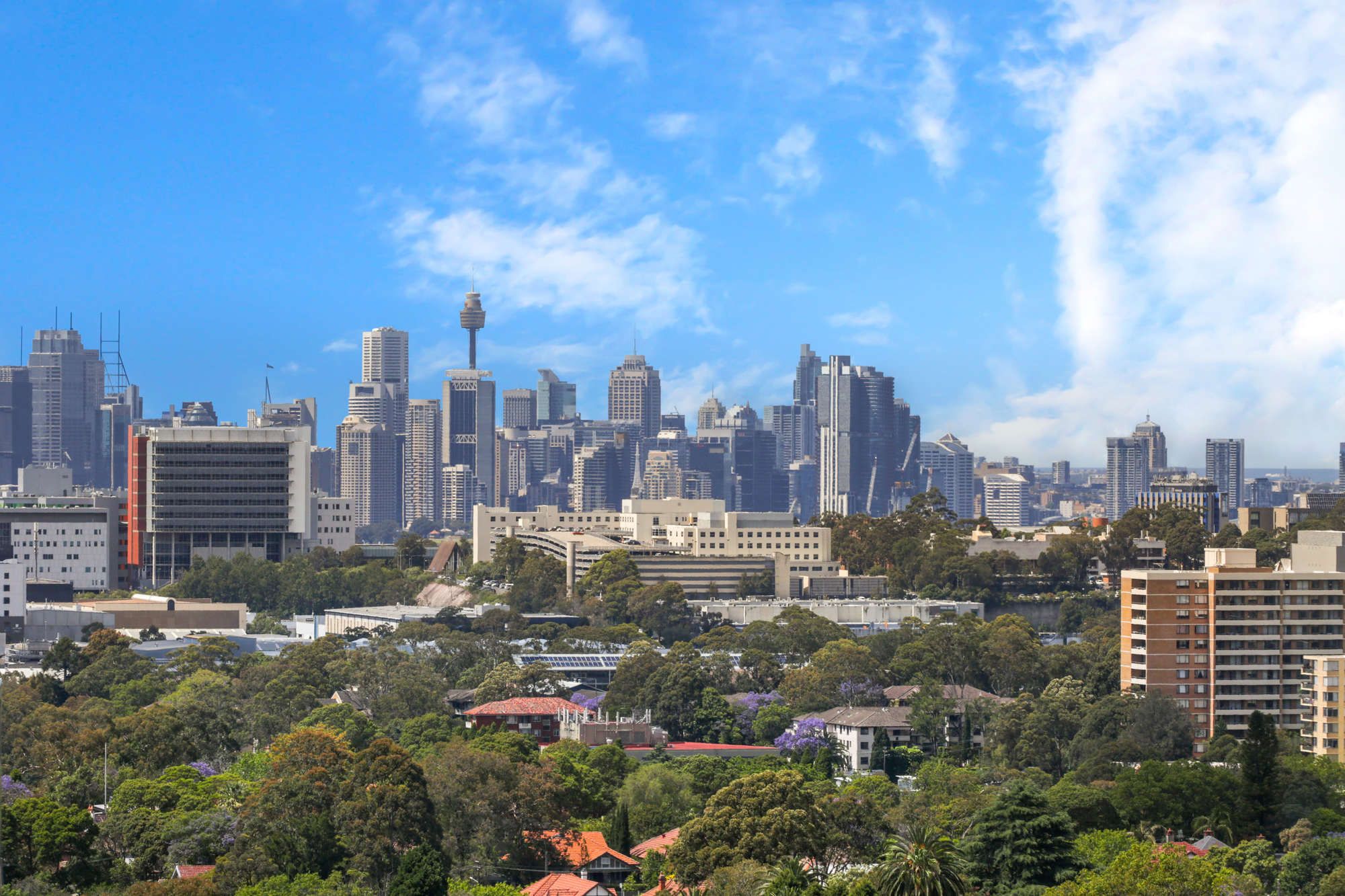 1607/69 Albert Avenue, Chatswood, NSW 2067