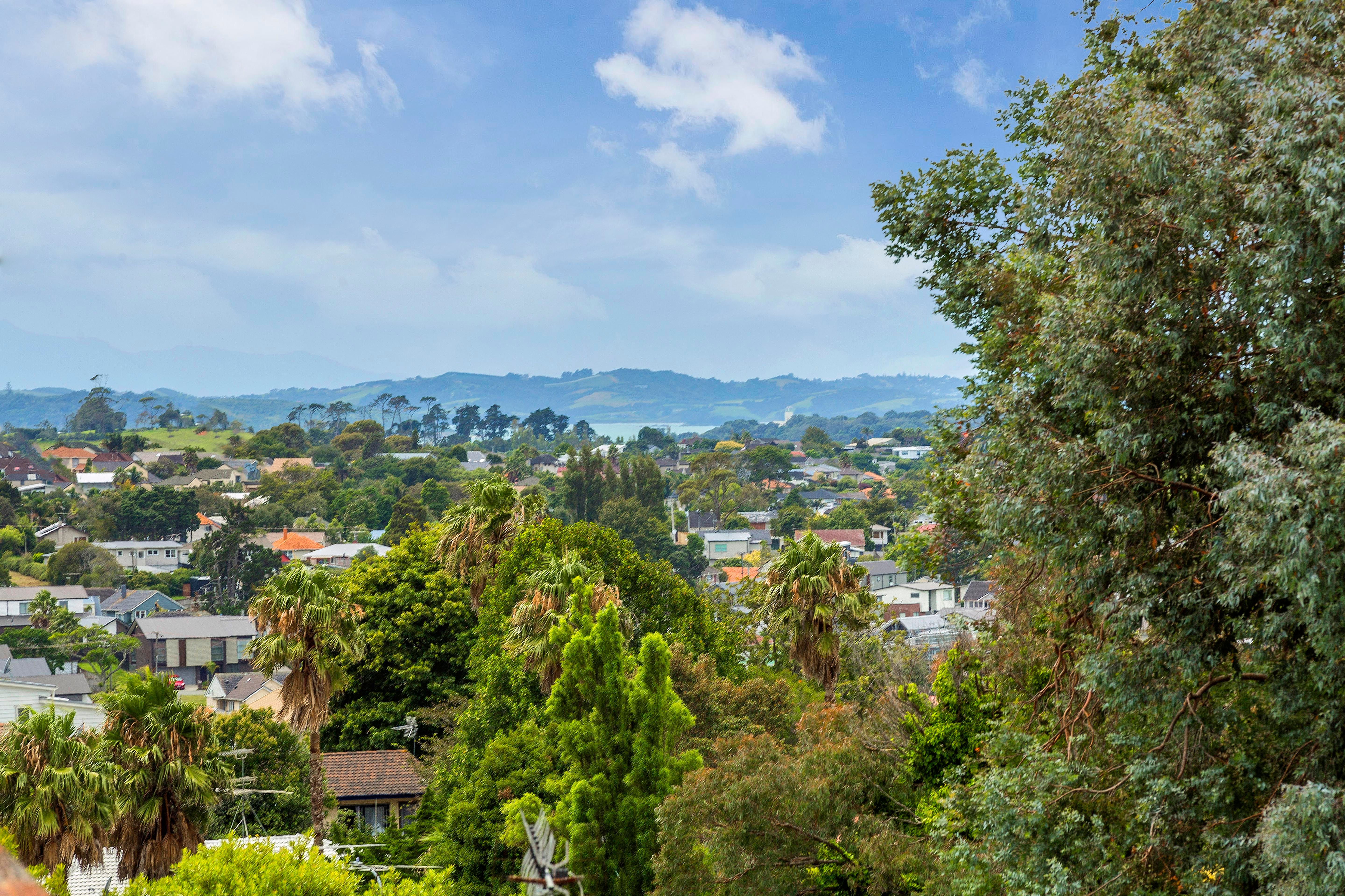 41 Simkin Avenue, St Johns, Auckland City
