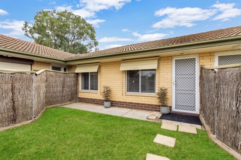 3/730 Lower North East Road, Paradise, SA 5075