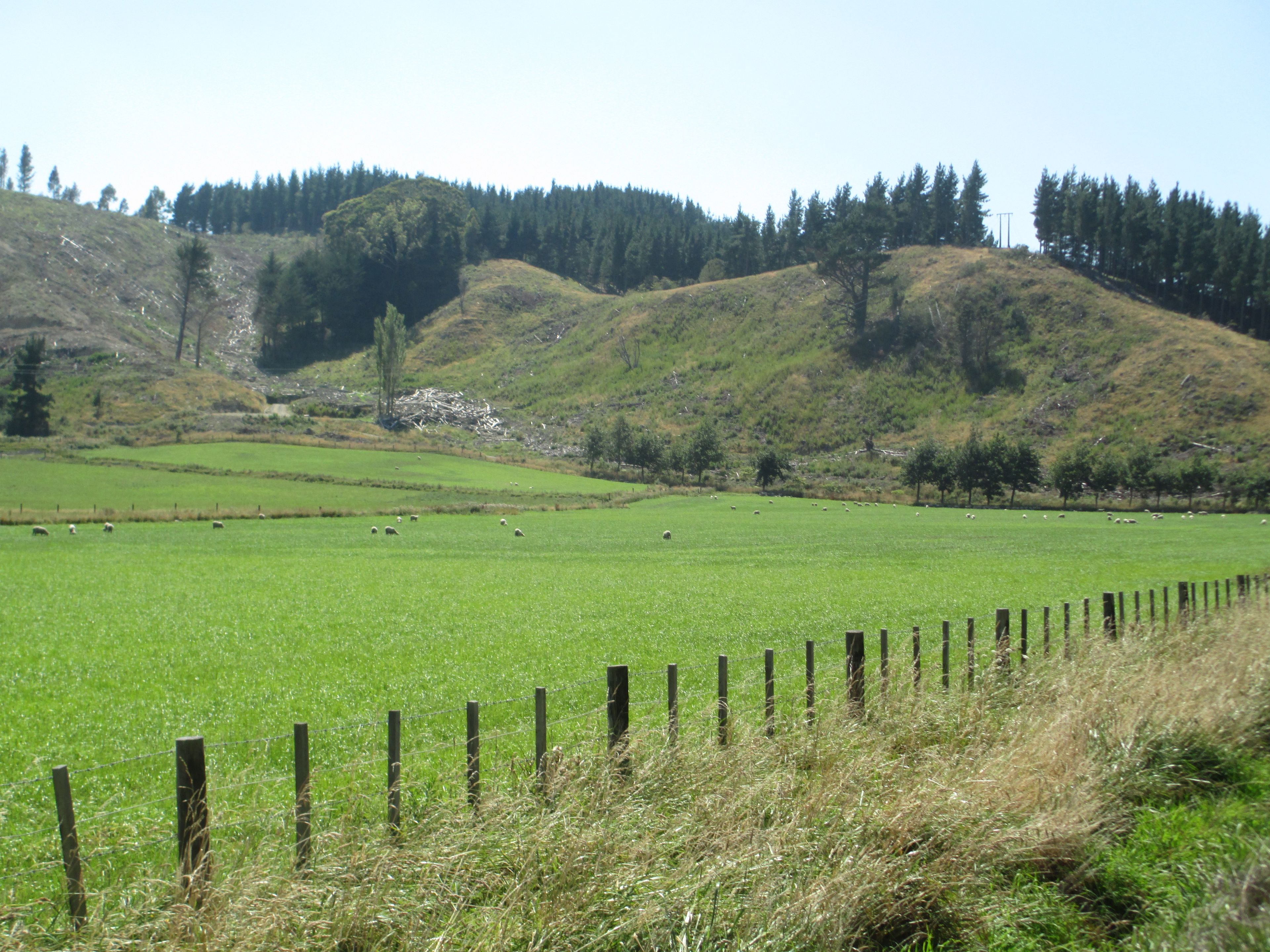 4265 Masterton - Castlepoint Road, Masterton, Masterton District