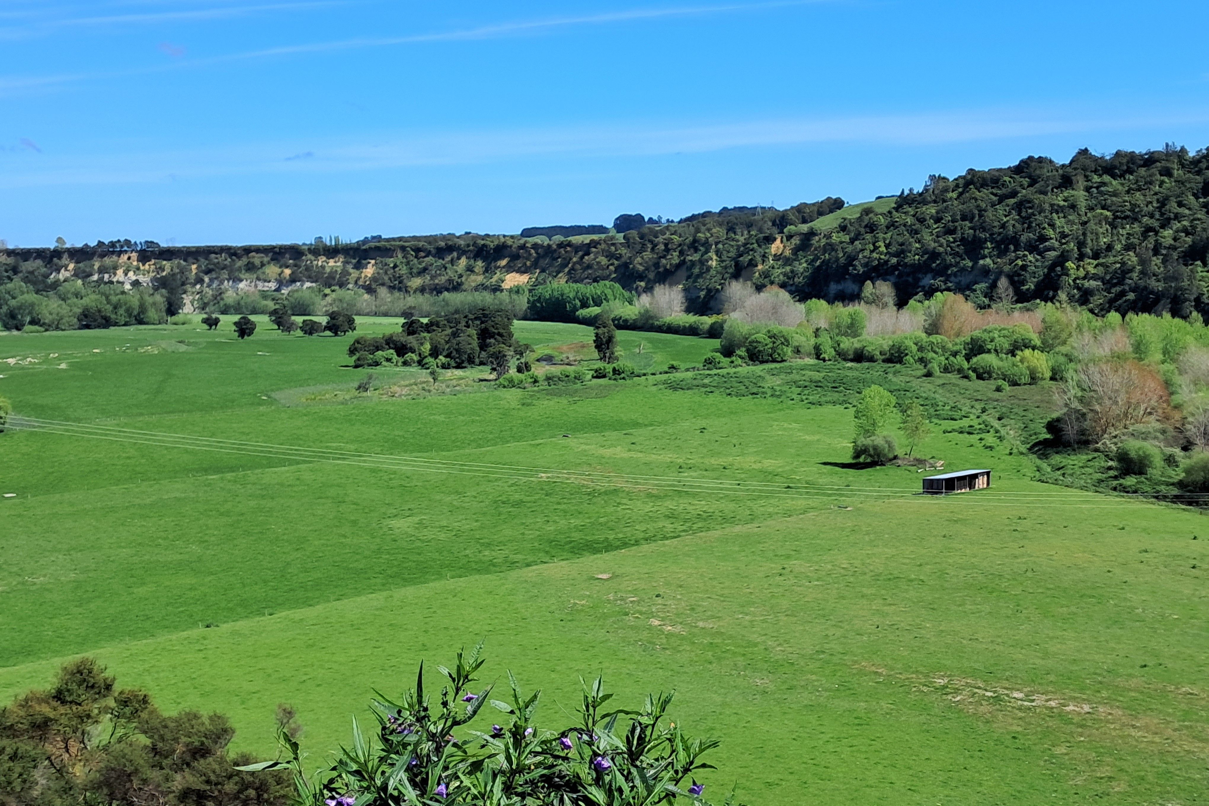 243 Te Awa Road, Kiwitea, Manawatu District 4777 - Sold Rural Dairy ...