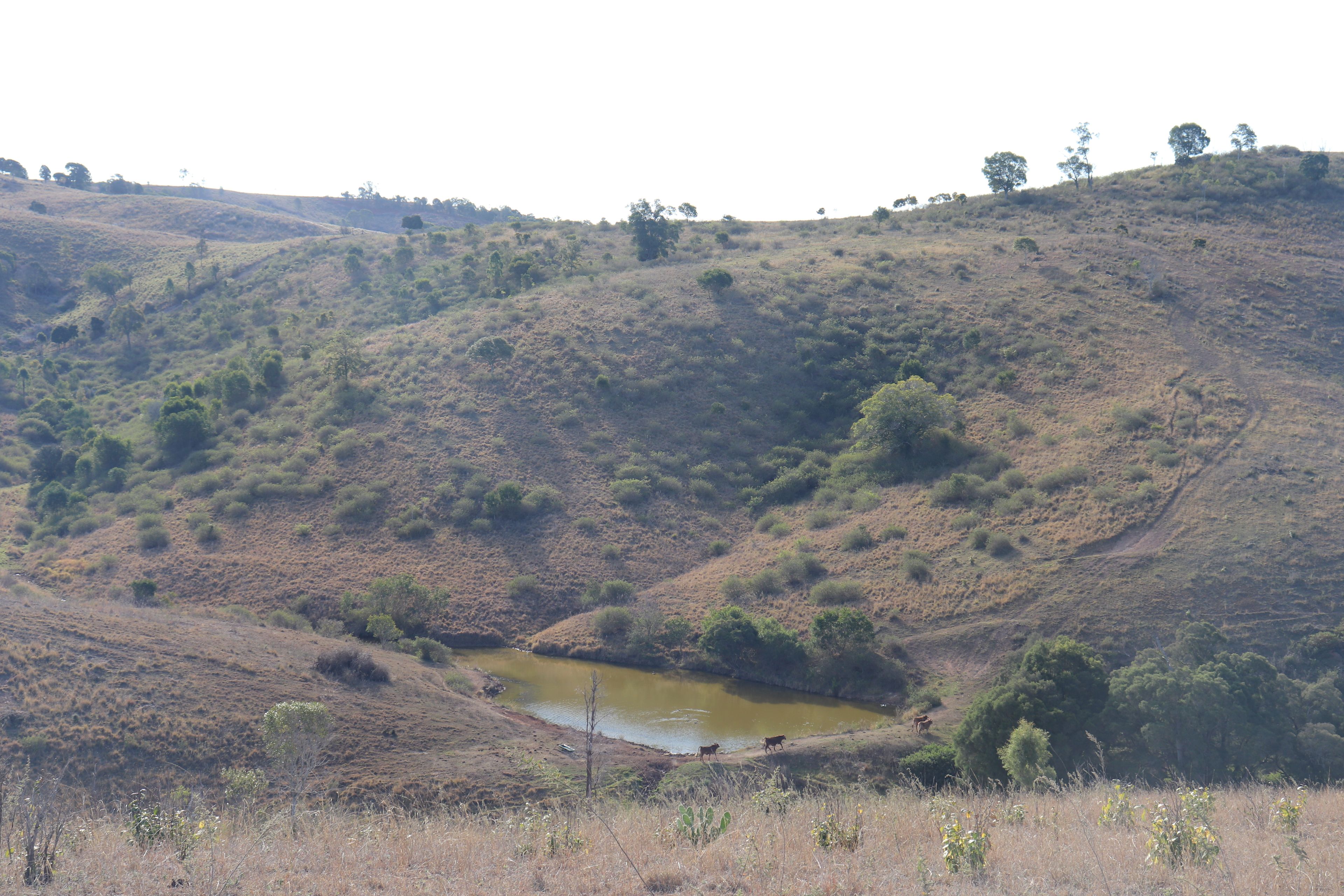571 Daniels Road, Tablelands, QLD 4605 Rural Property for Sale Ray White Mundubbera