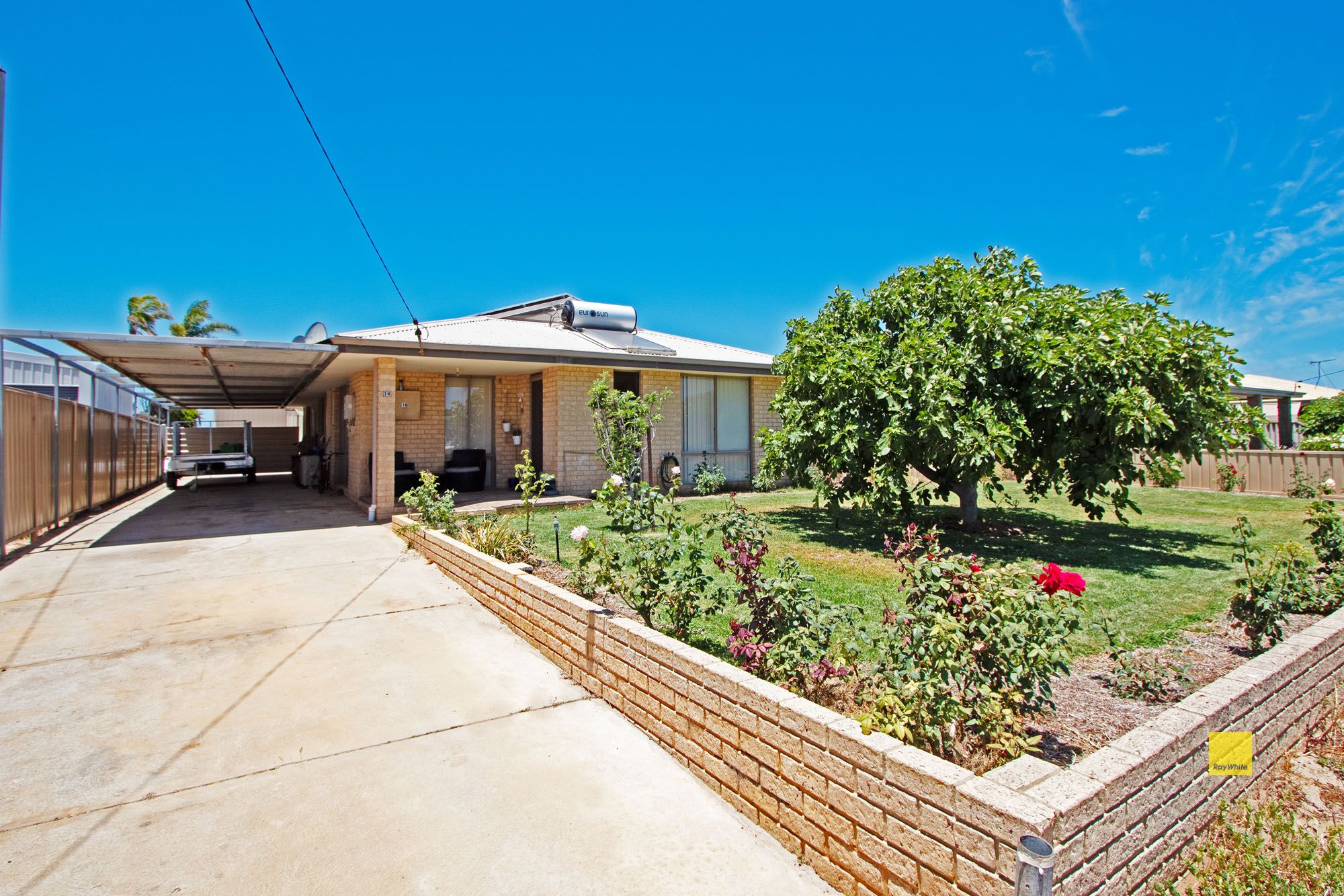 16 Verticordia Plc, Jurien Bay, WA 6516 Sold House Ray White Jurien Bay