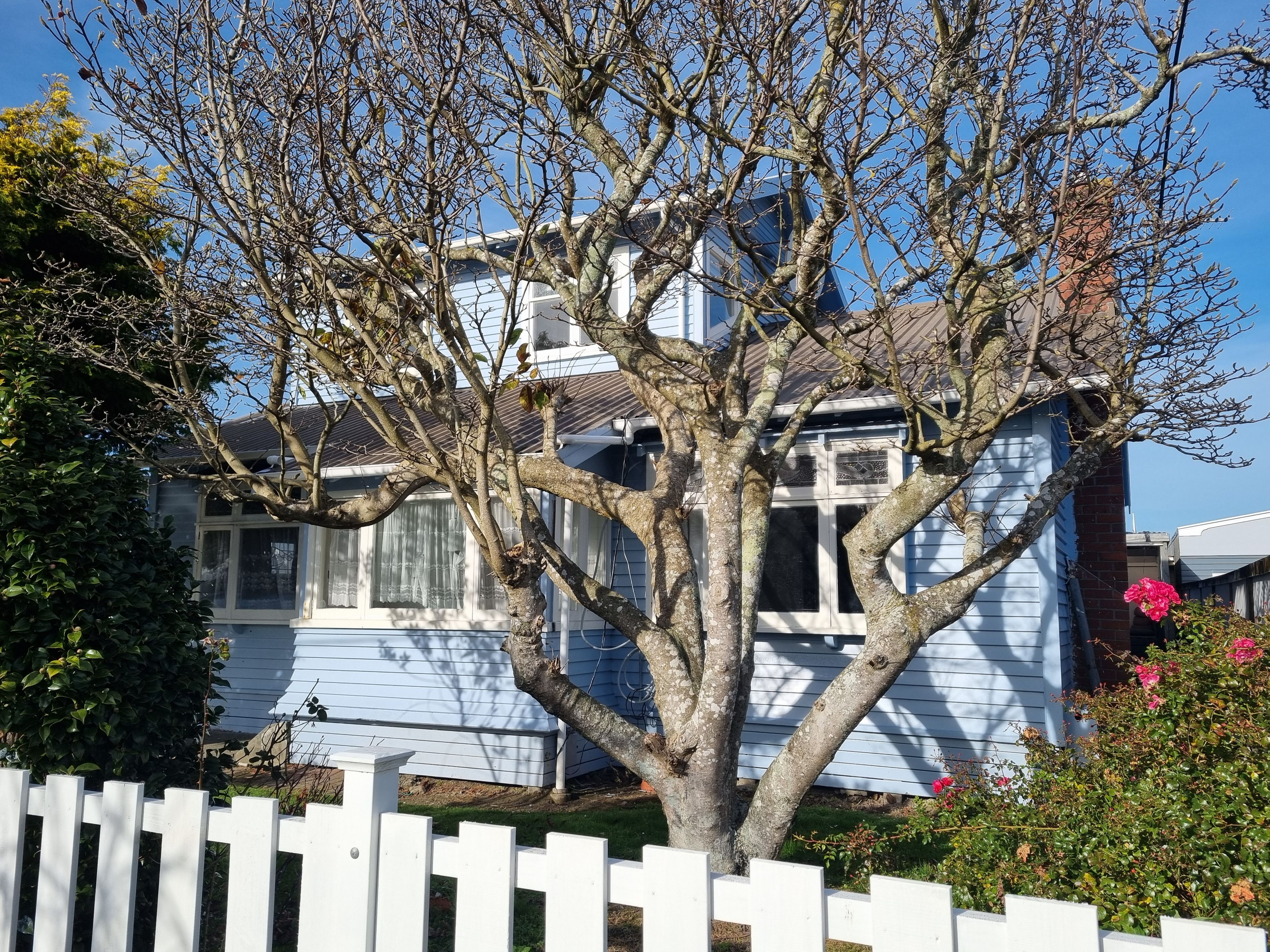 48 Hume Street, Alicetown, Lower Hutt City
