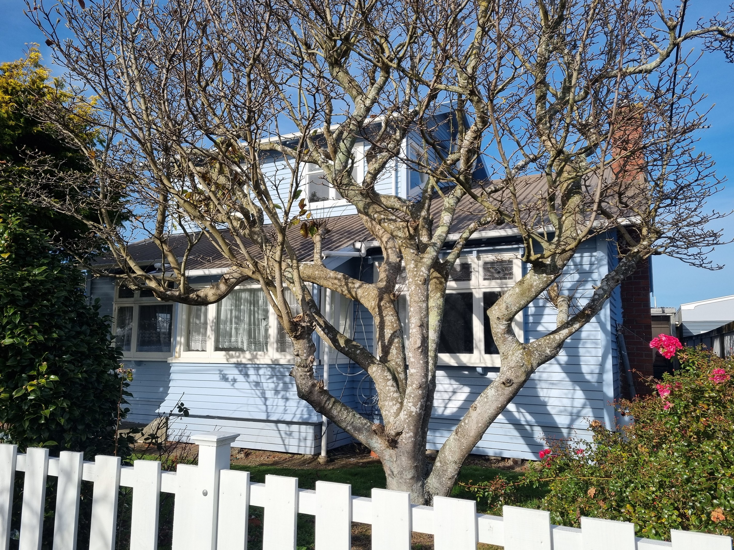 48 Hume Street, Alicetown, Lower Hutt City
