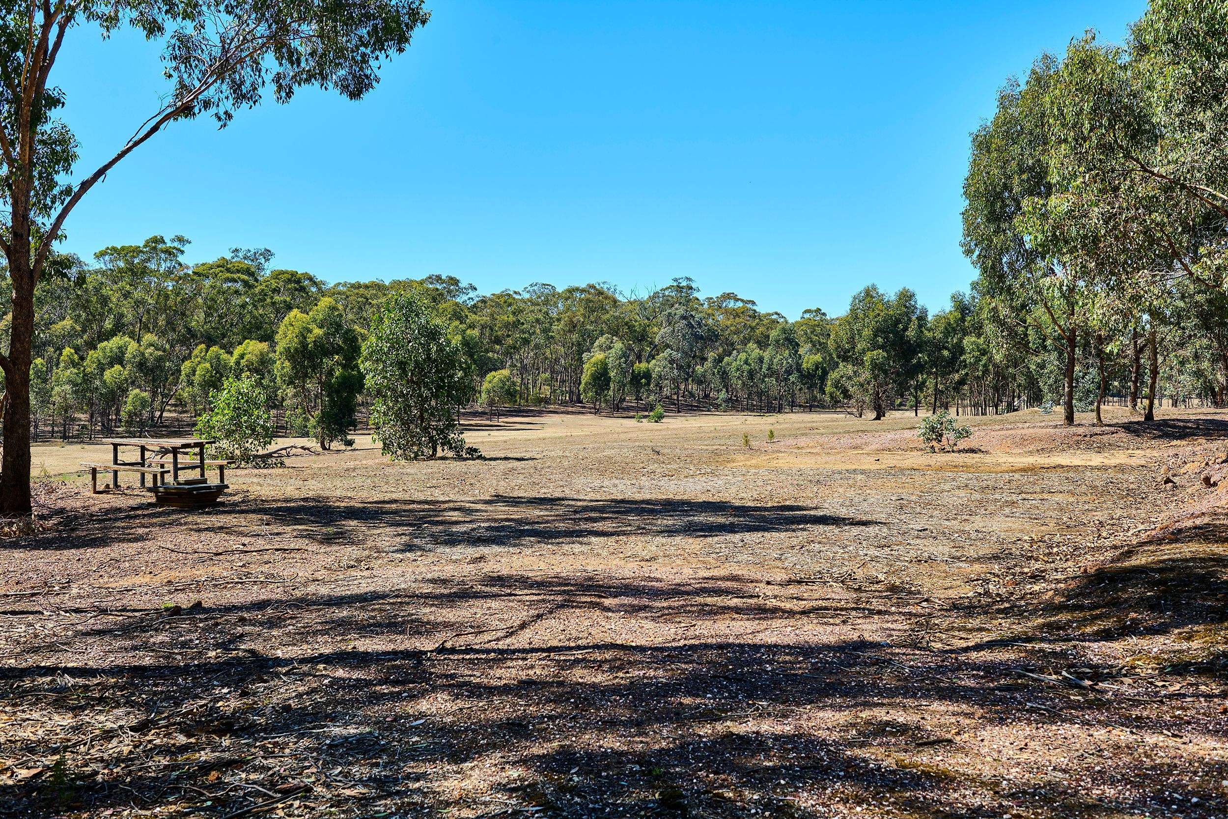 54 One Eye Forest Road — photo 7 of 16