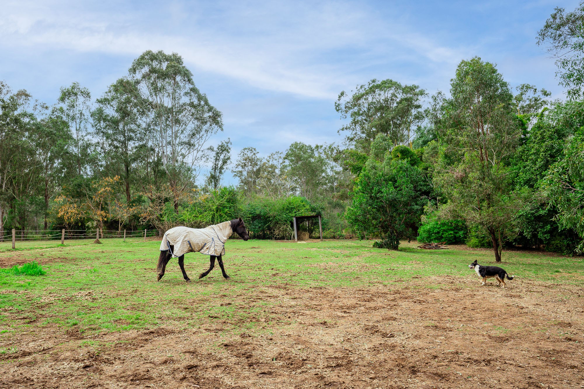 82-88 Sharon Drive, North Maclean, QLD 4280