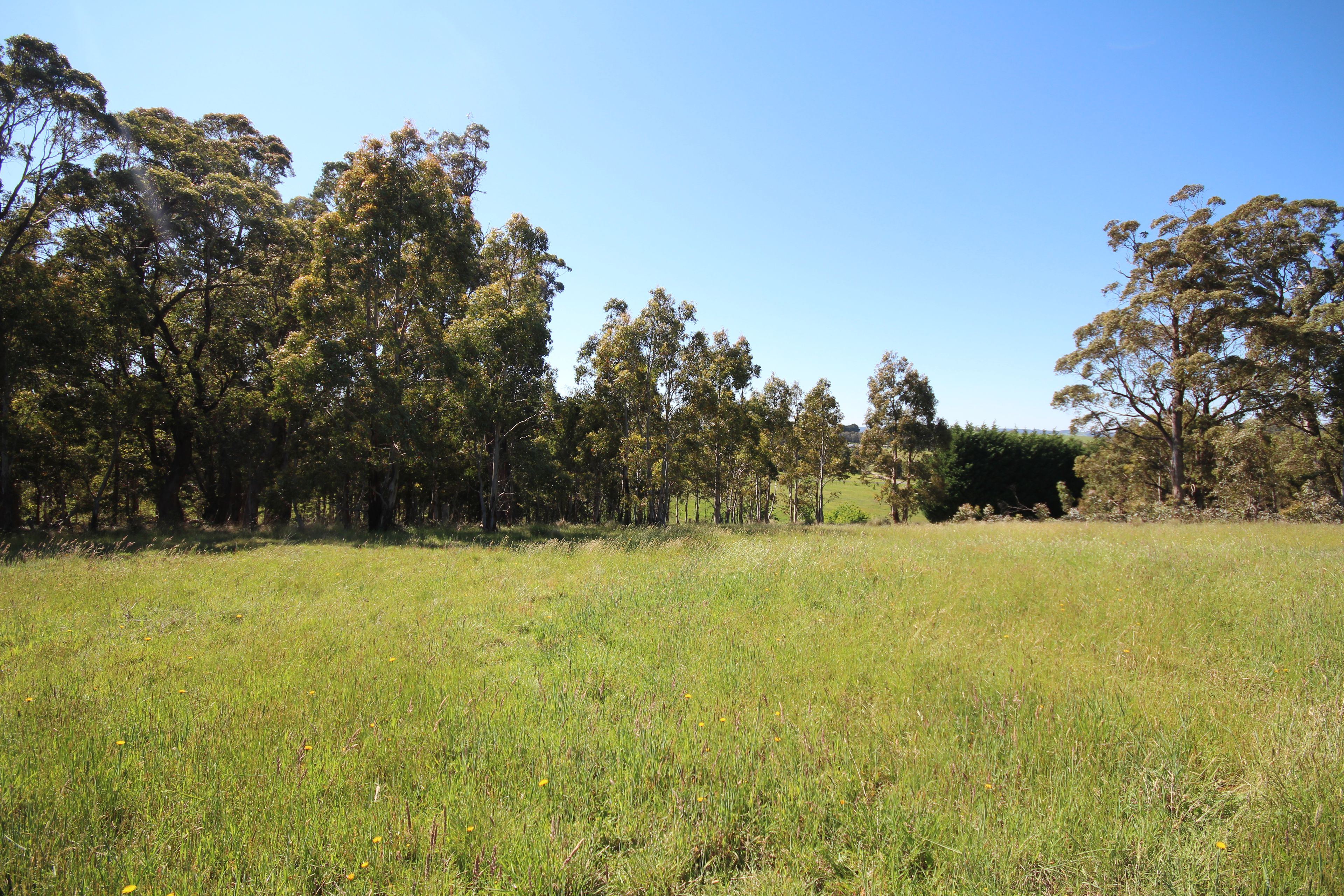 31 Marks Crescent, Oberon NSW 2787