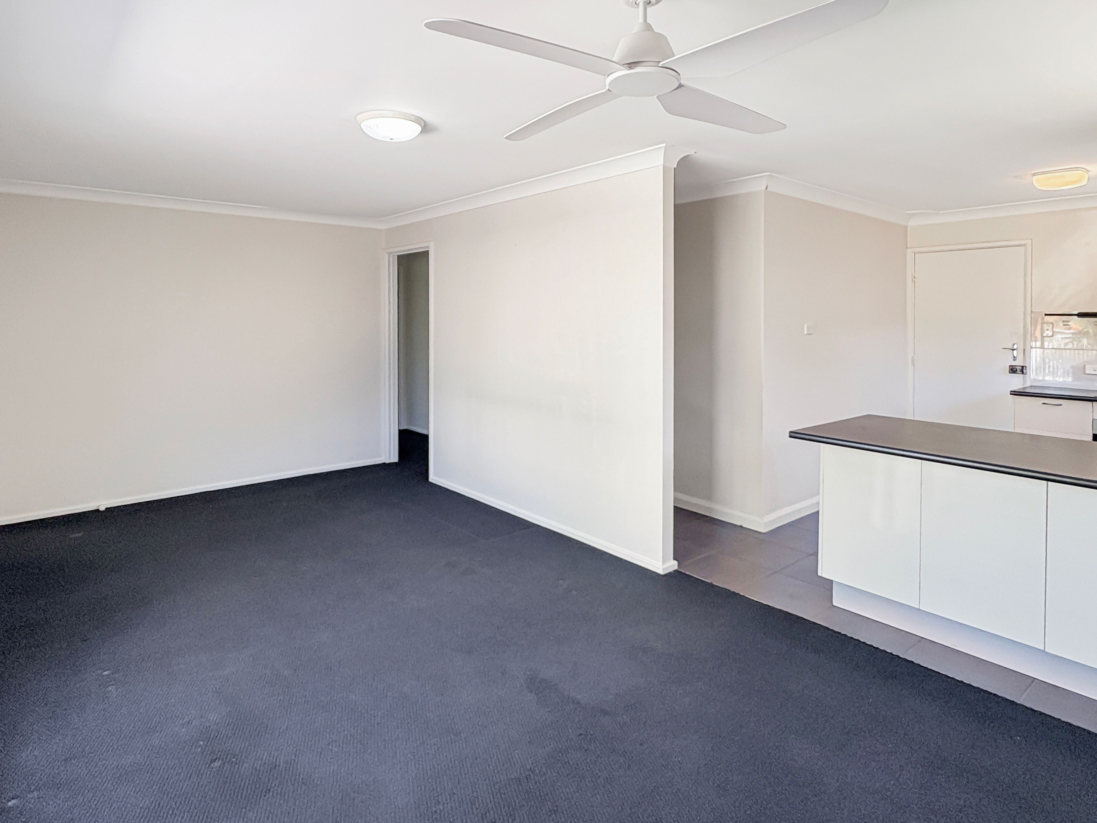 31 Albatross Road, Berkeley Vale, NSW 2261