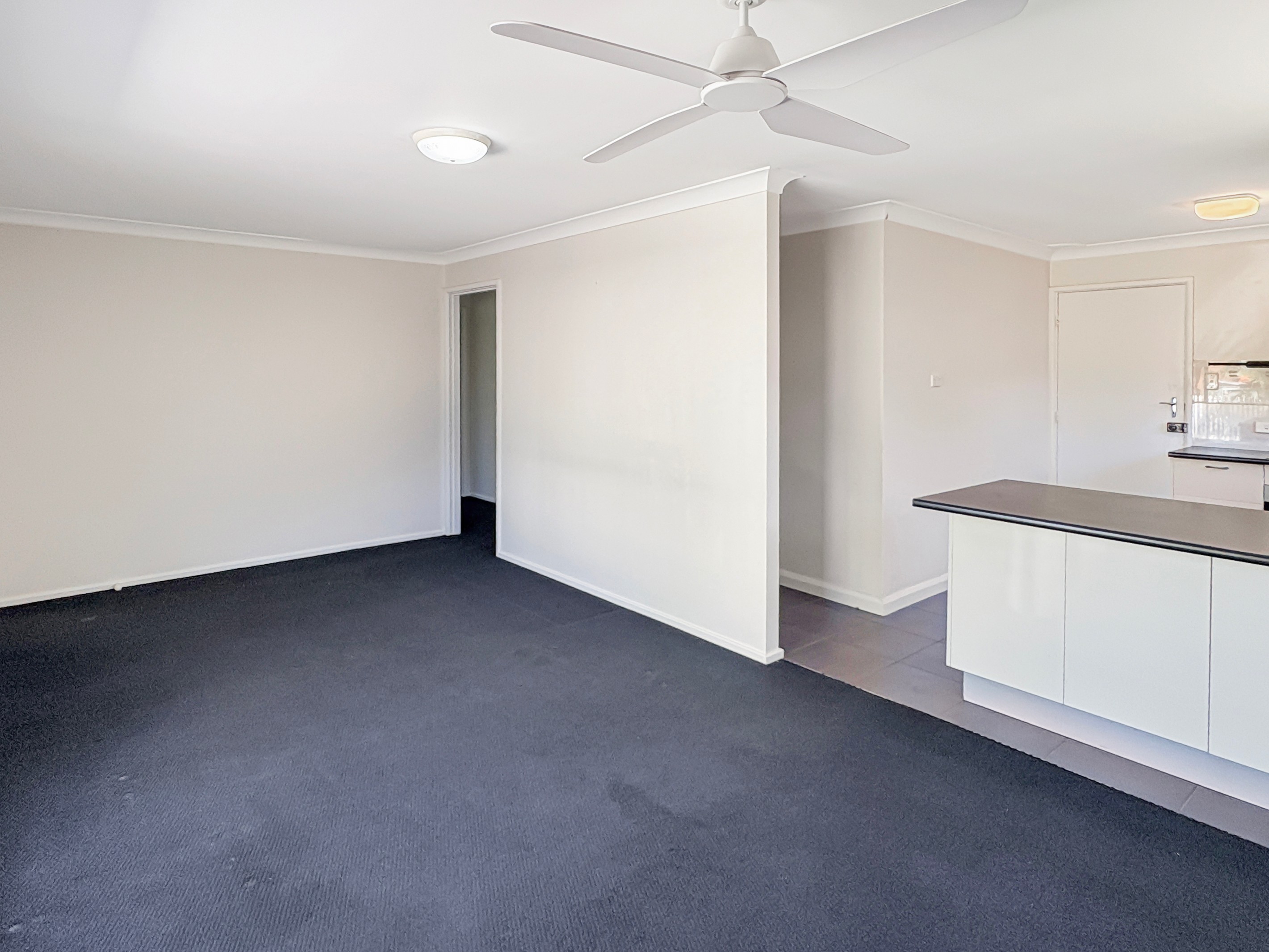 31 Albatross Road, Berkeley Vale, NSW 2261