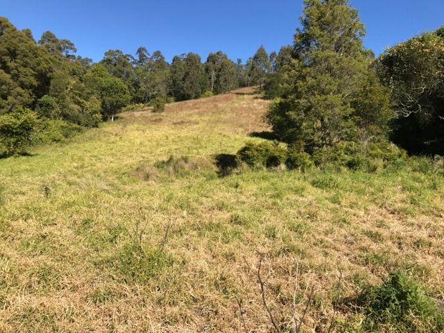 129 Quartpot Creek Road, Underbank, NSW 2420