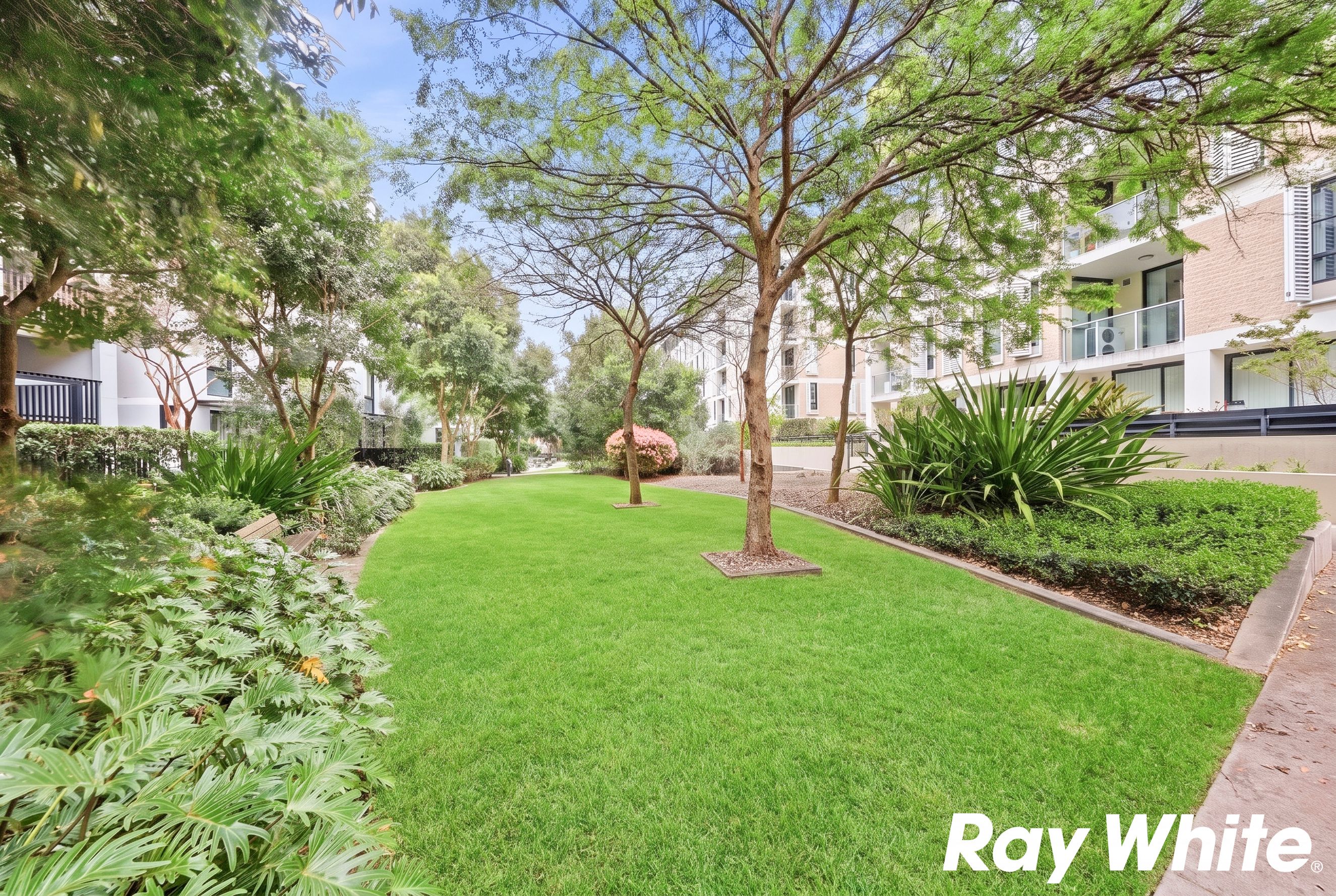 203/4 Banilung Street — photo 15 of 21
