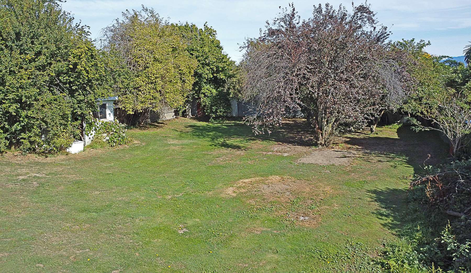 18 Holdaway Street photo 22