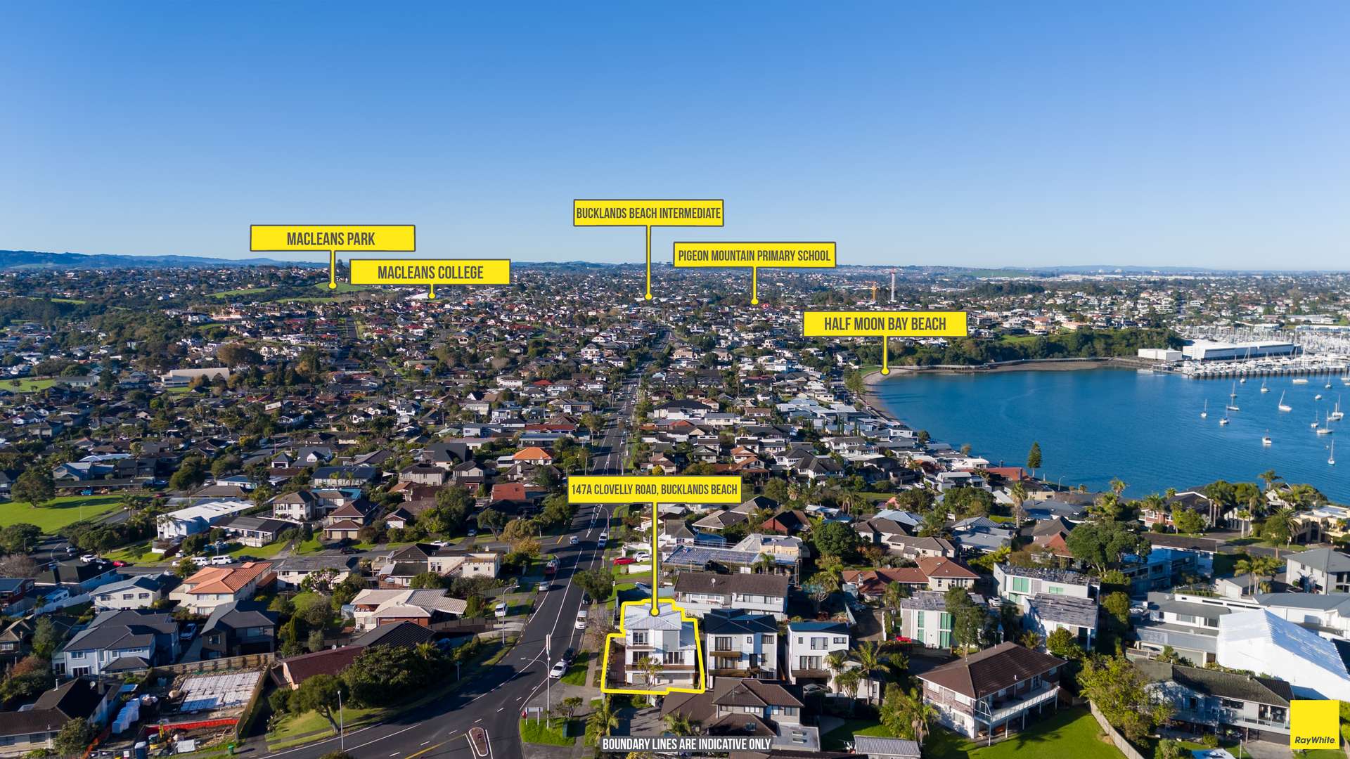 147A Clovelly Road photo 3