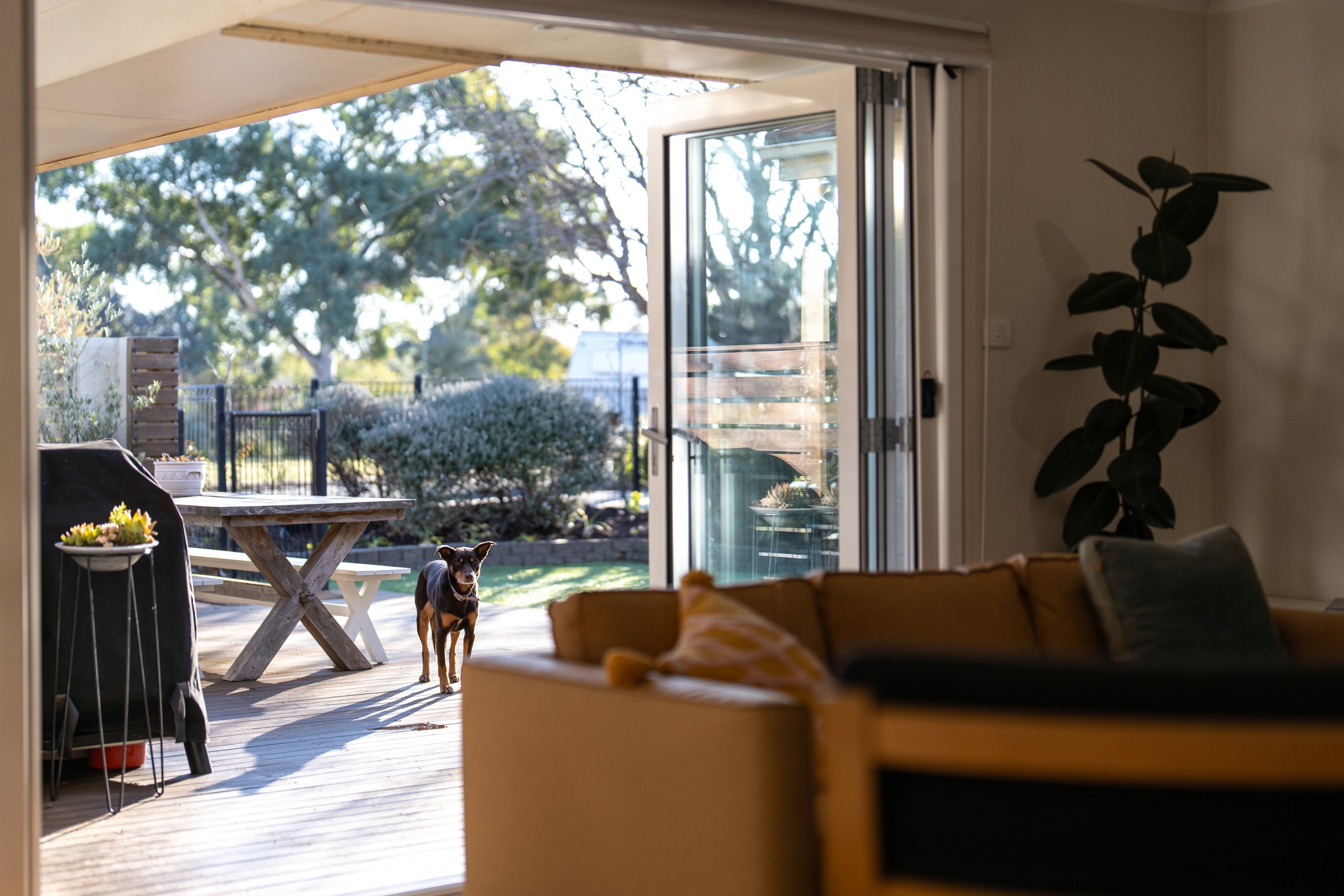 1/5 Dawson Street, Curtin, ACT 2605