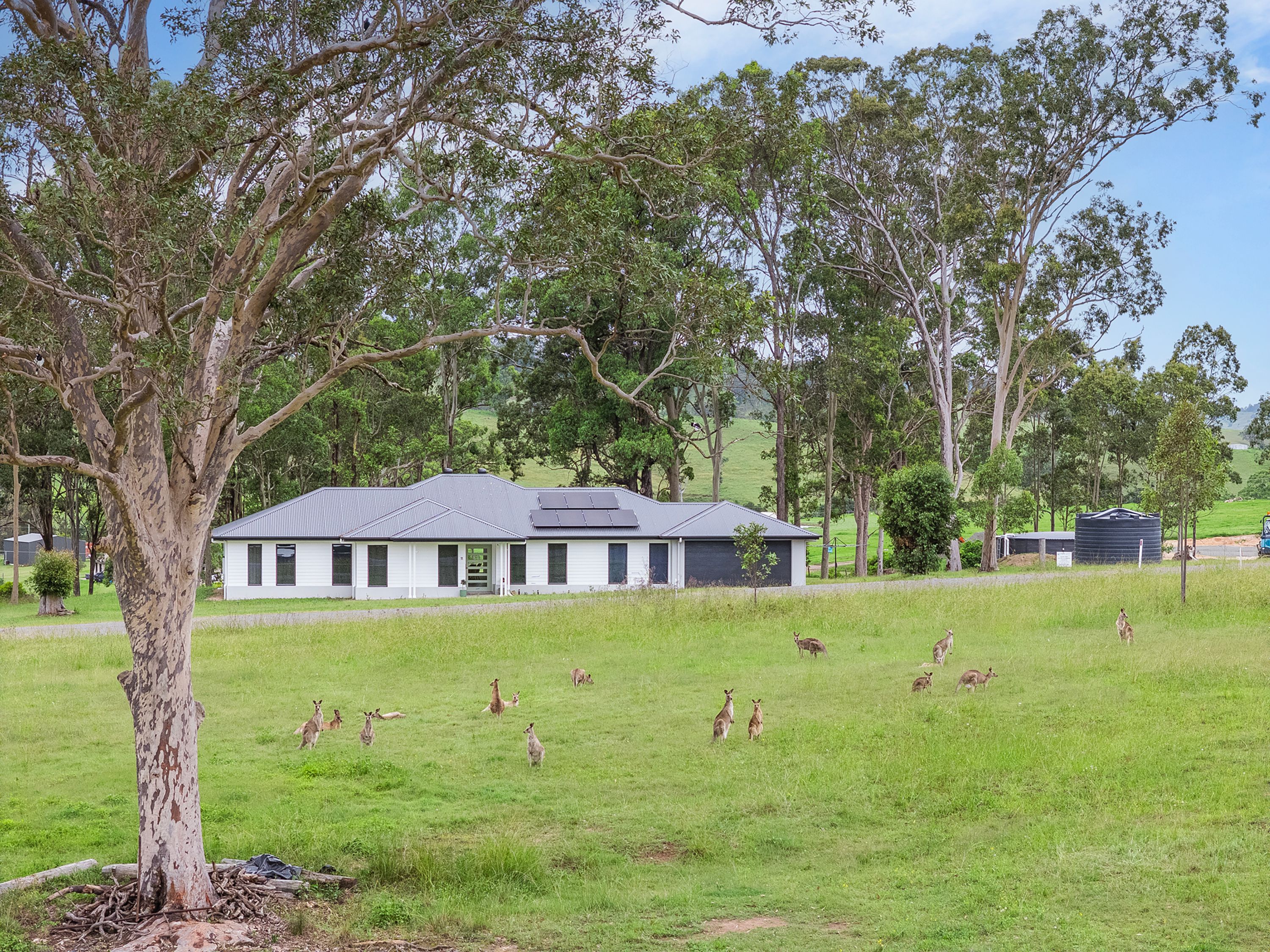 11 Burrawang Close , East Gresford NSW 2311