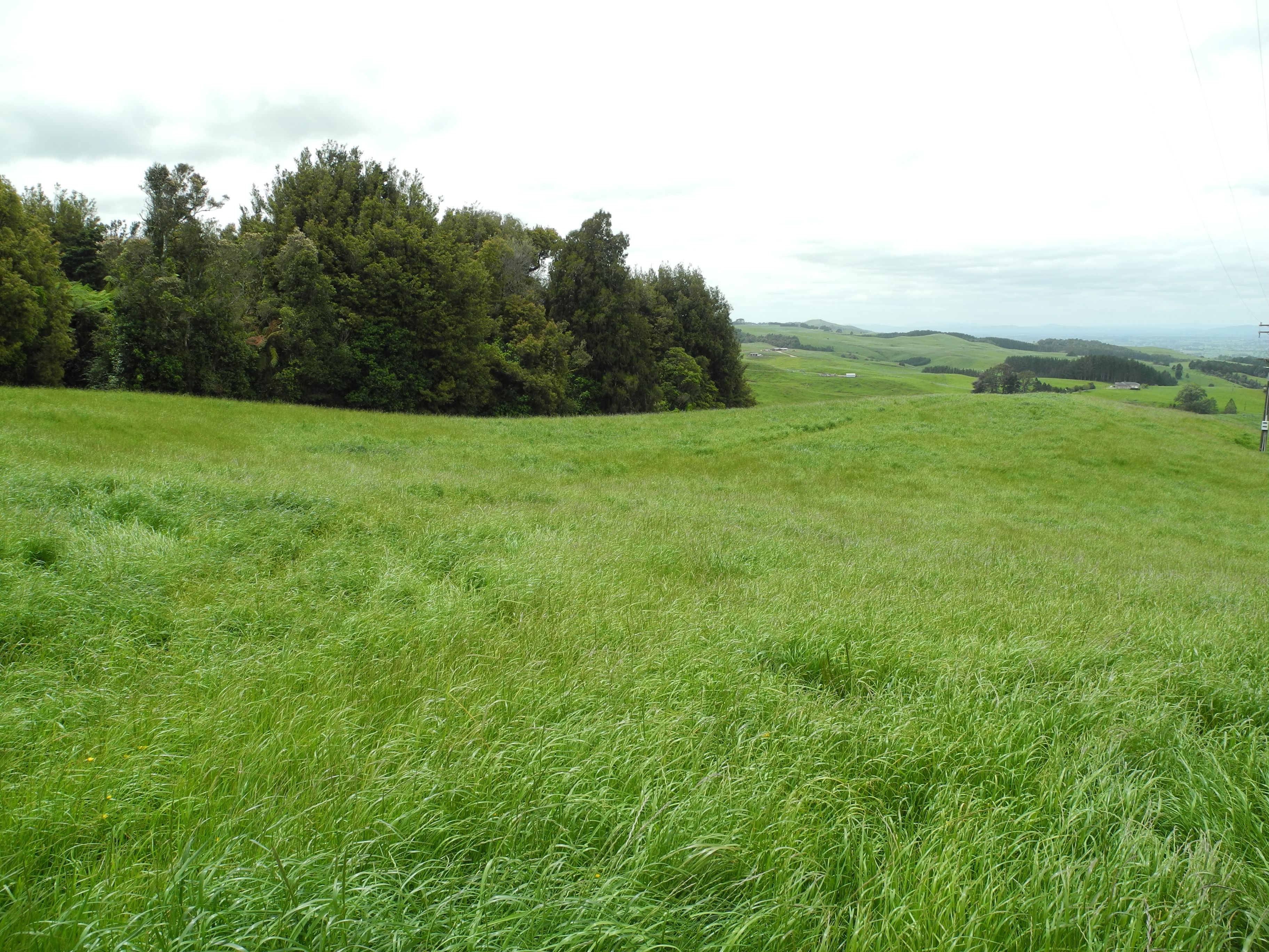 404 Pekanui Road, Pirongia, Waipa District