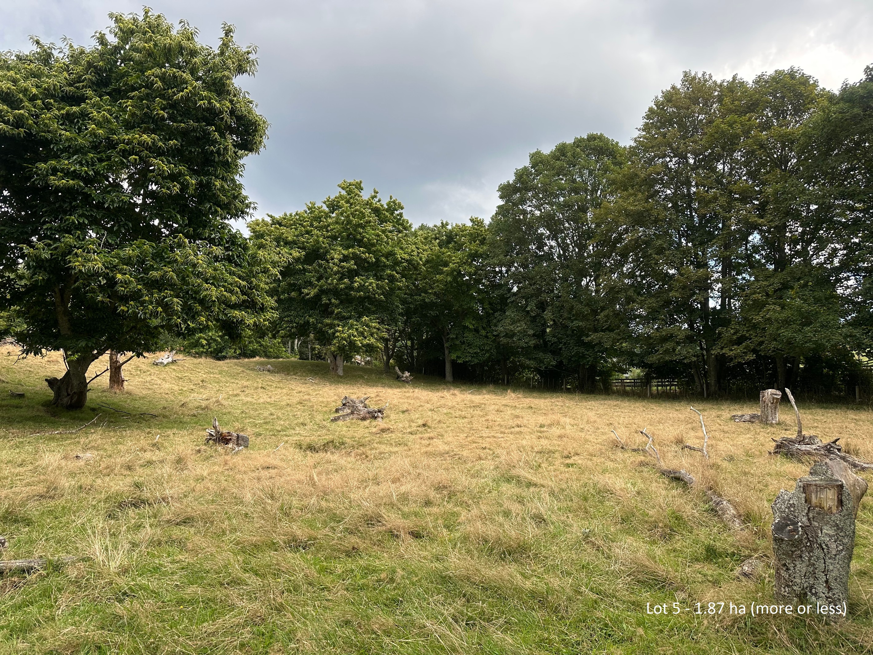 Lot 5 Tarukenga Road, Ngongotaha Valley, Rotorua District