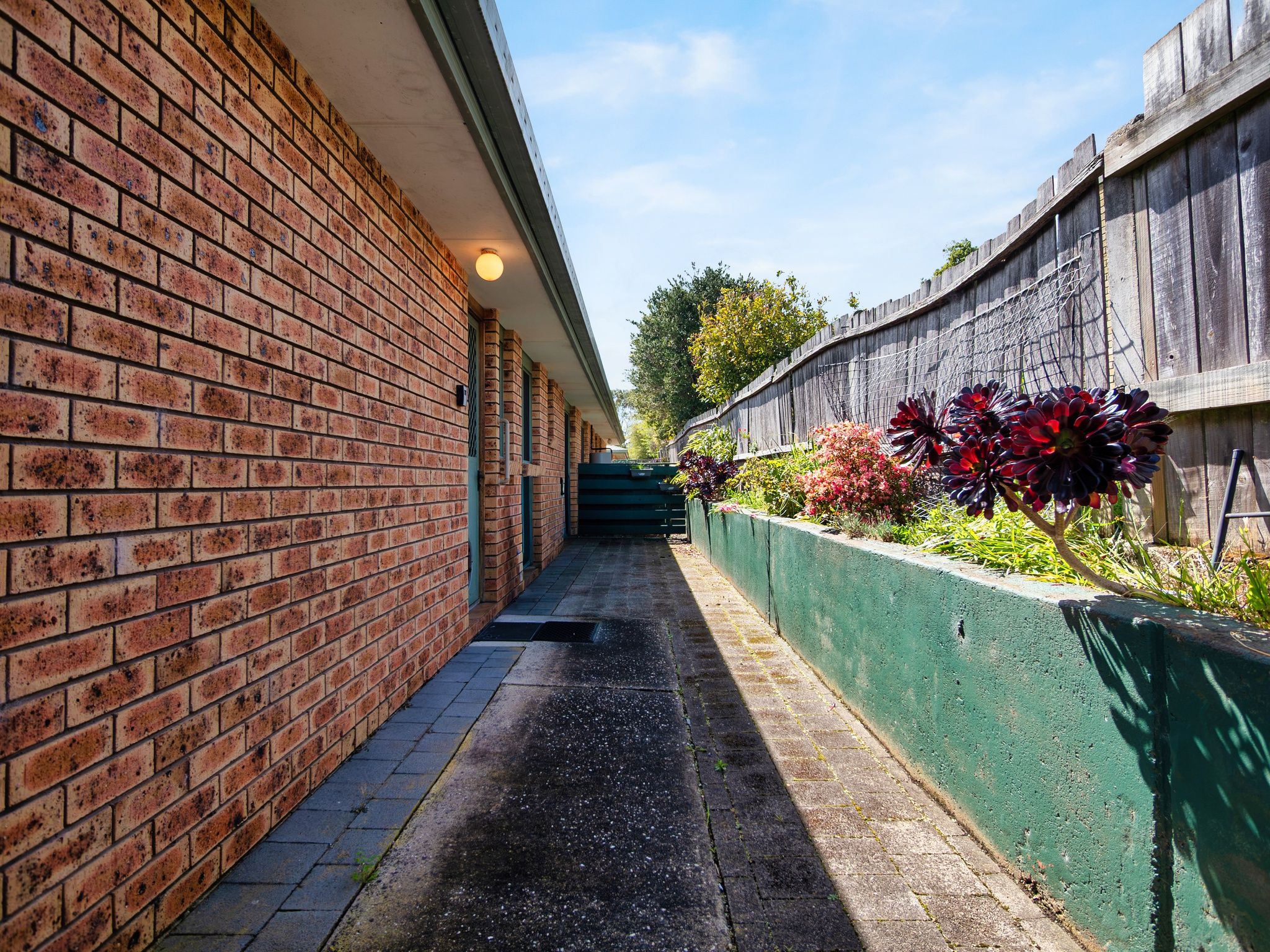 4/52 Hogg Street — photo 12 of 13