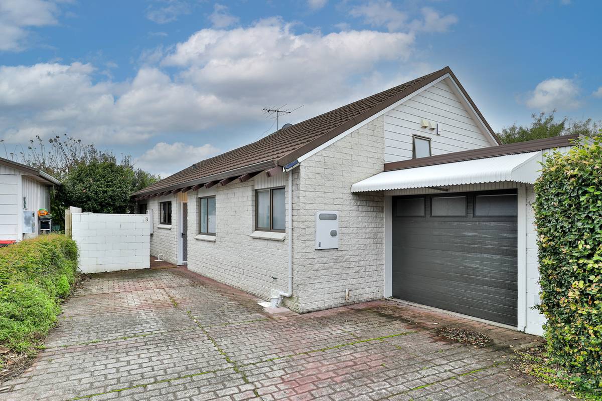 3 255 Meola Road Point Chevalier Auckland City Real Estate Ray 