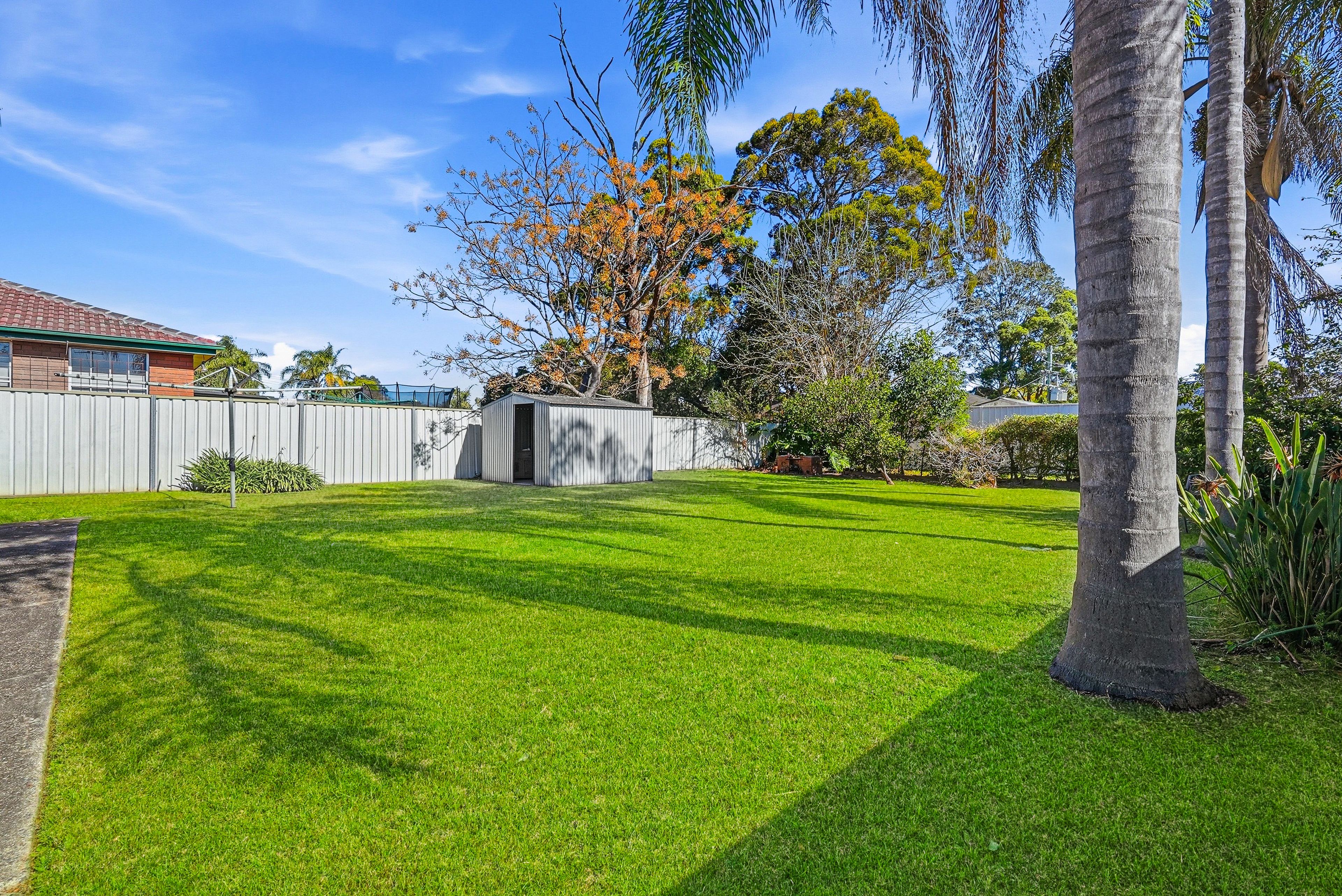 25 Wattle Avenue — photo 13 of 17